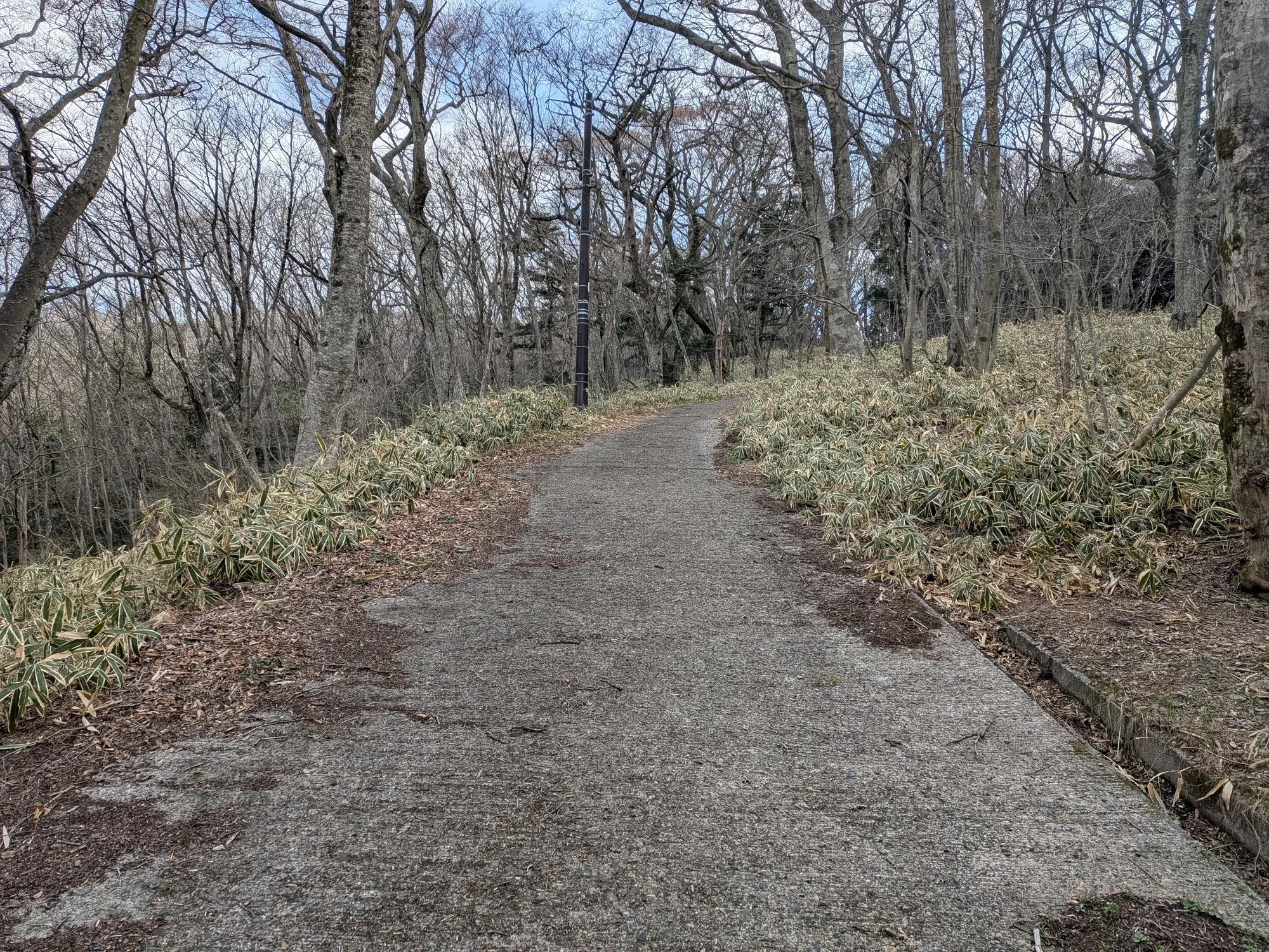 たむら鍼灸整骨院のイメージ