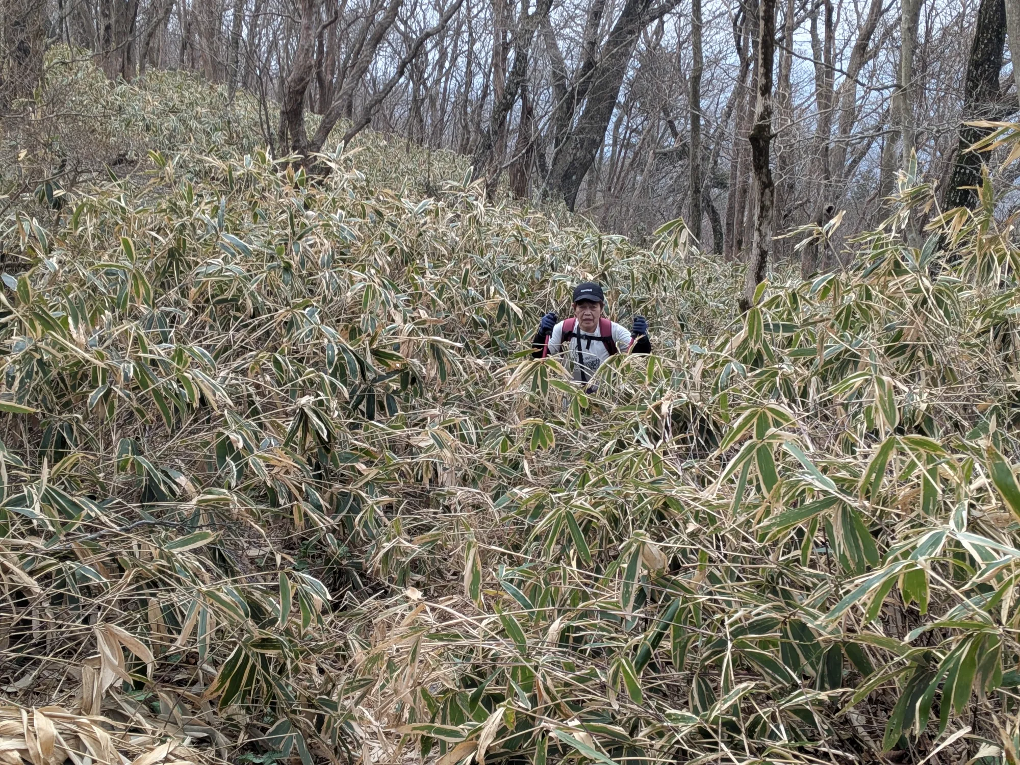 たむら鍼灸整骨院のイメージ