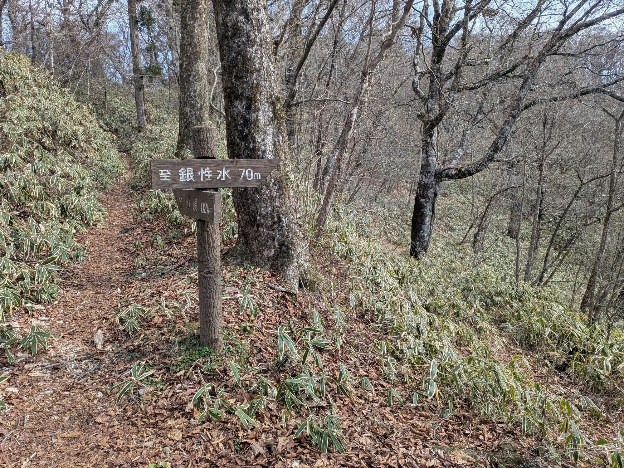 たむら鍼灸整骨院のイメージ