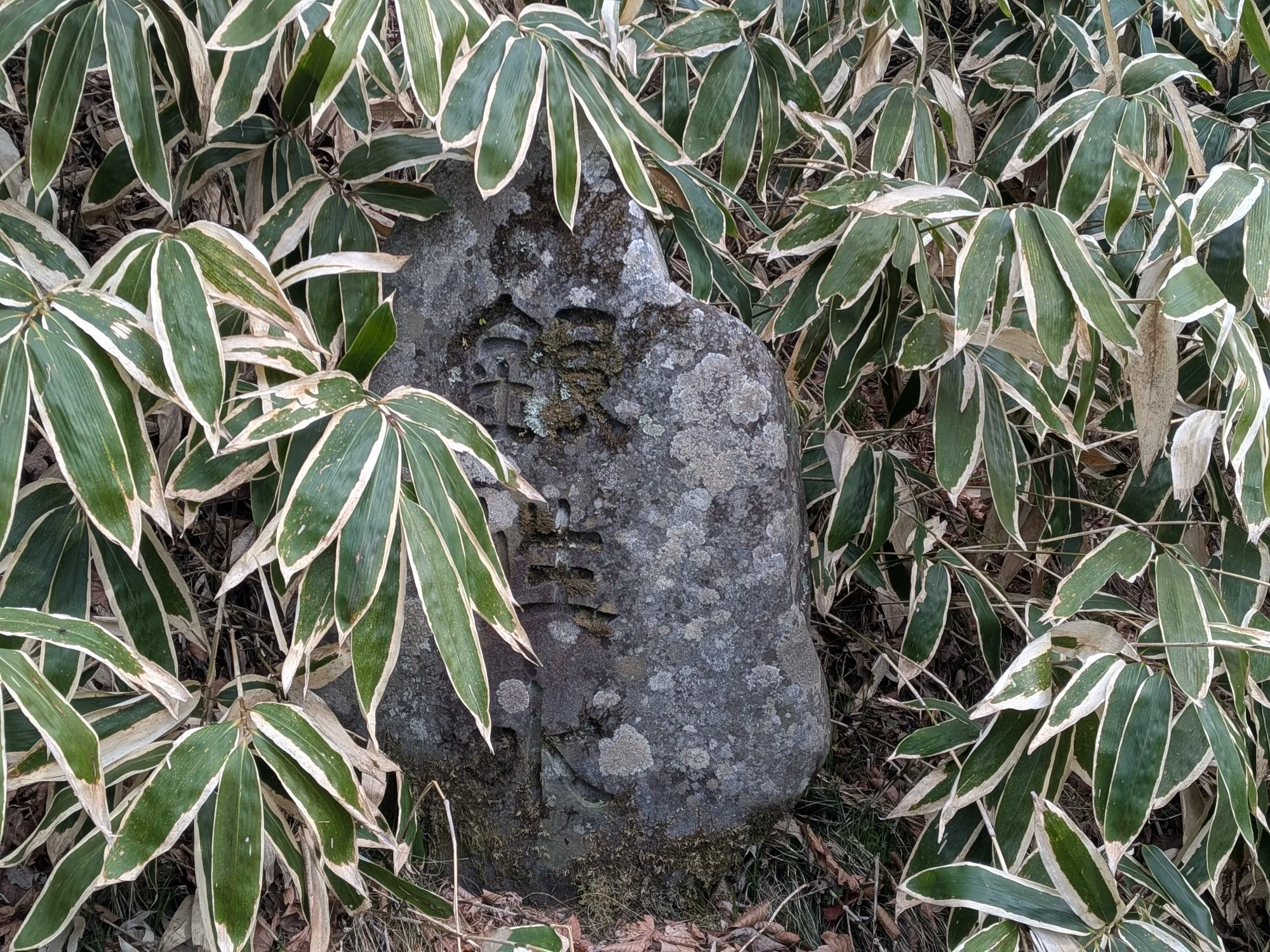 たむら鍼灸整骨院のイメージ