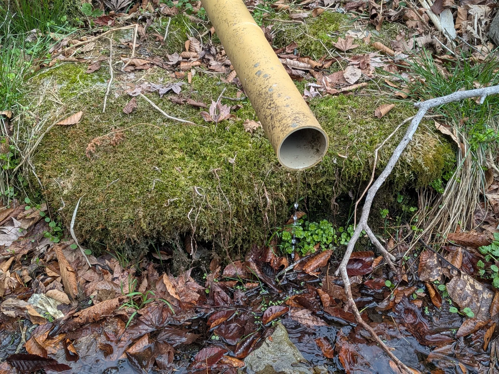 たむら鍼灸整骨院のイメージ