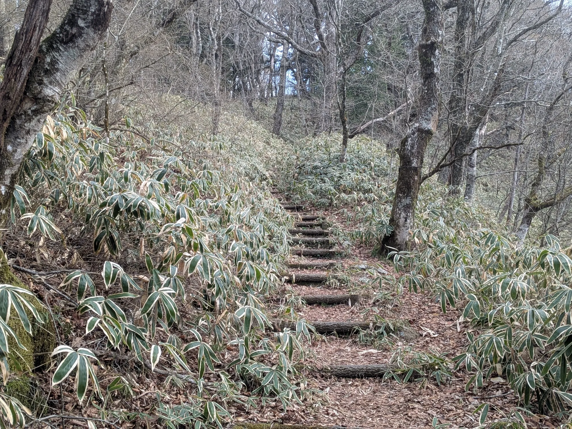 たむら鍼灸整骨院のイメージ