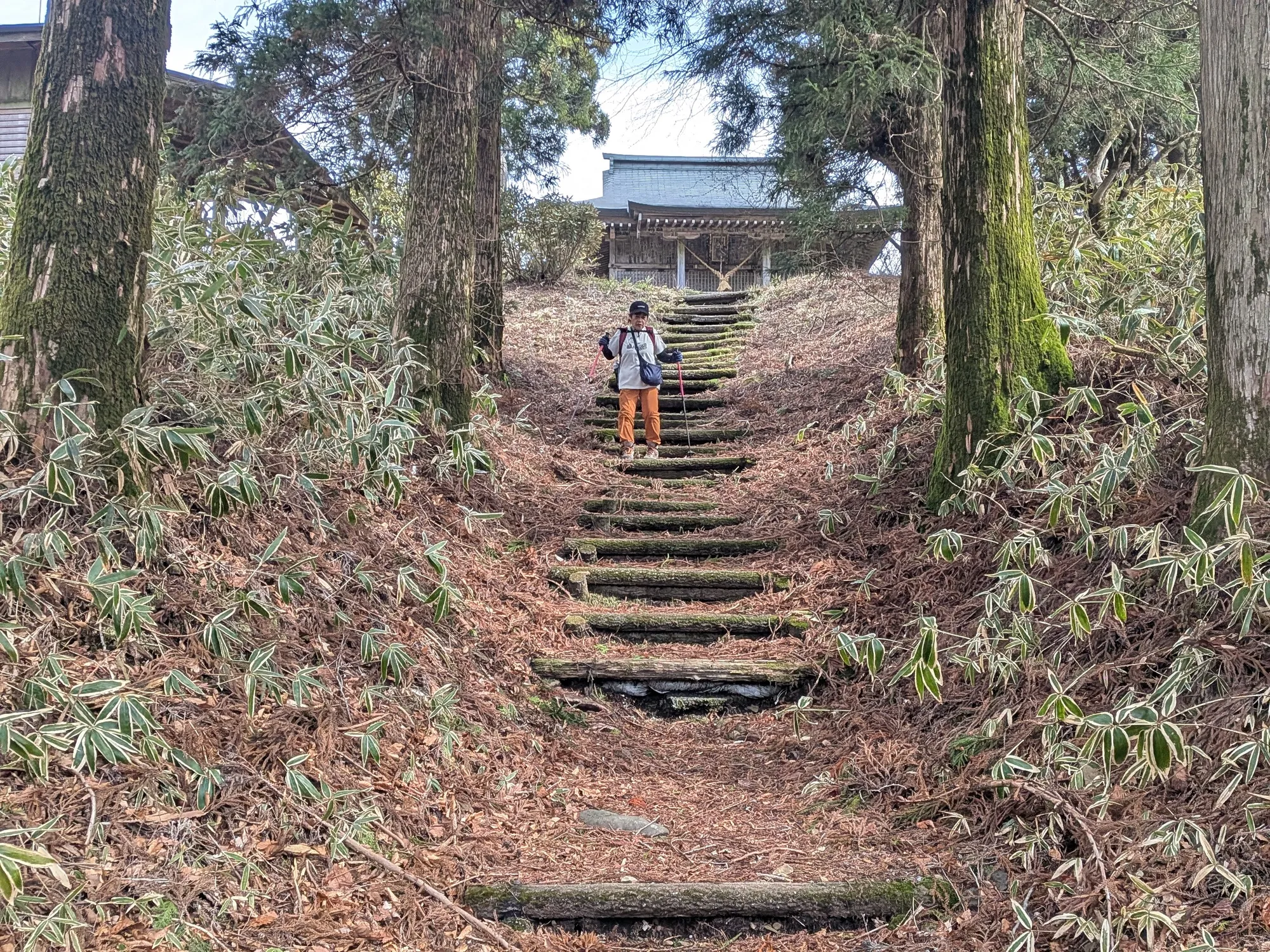 たむら鍼灸整骨院のイメージ