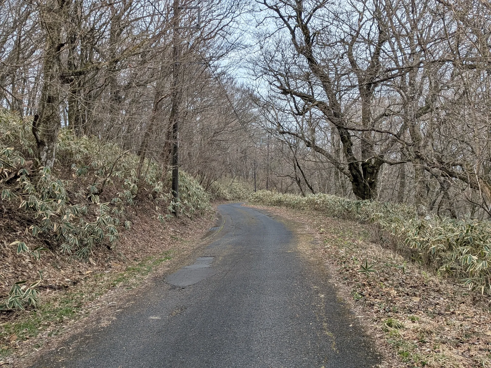 たむら鍼灸整骨院のイメージ