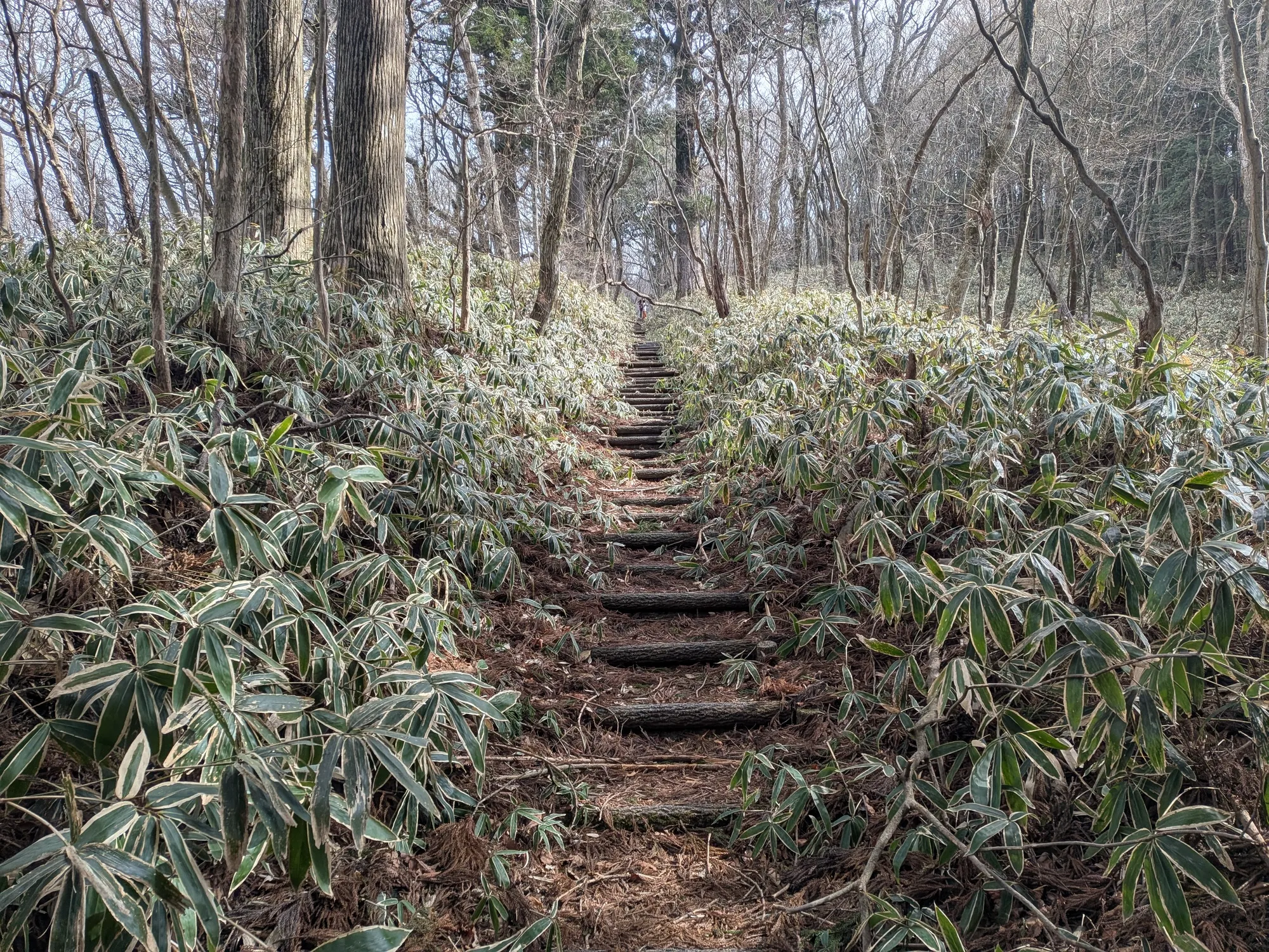 たむら鍼灸整骨院のイメージ