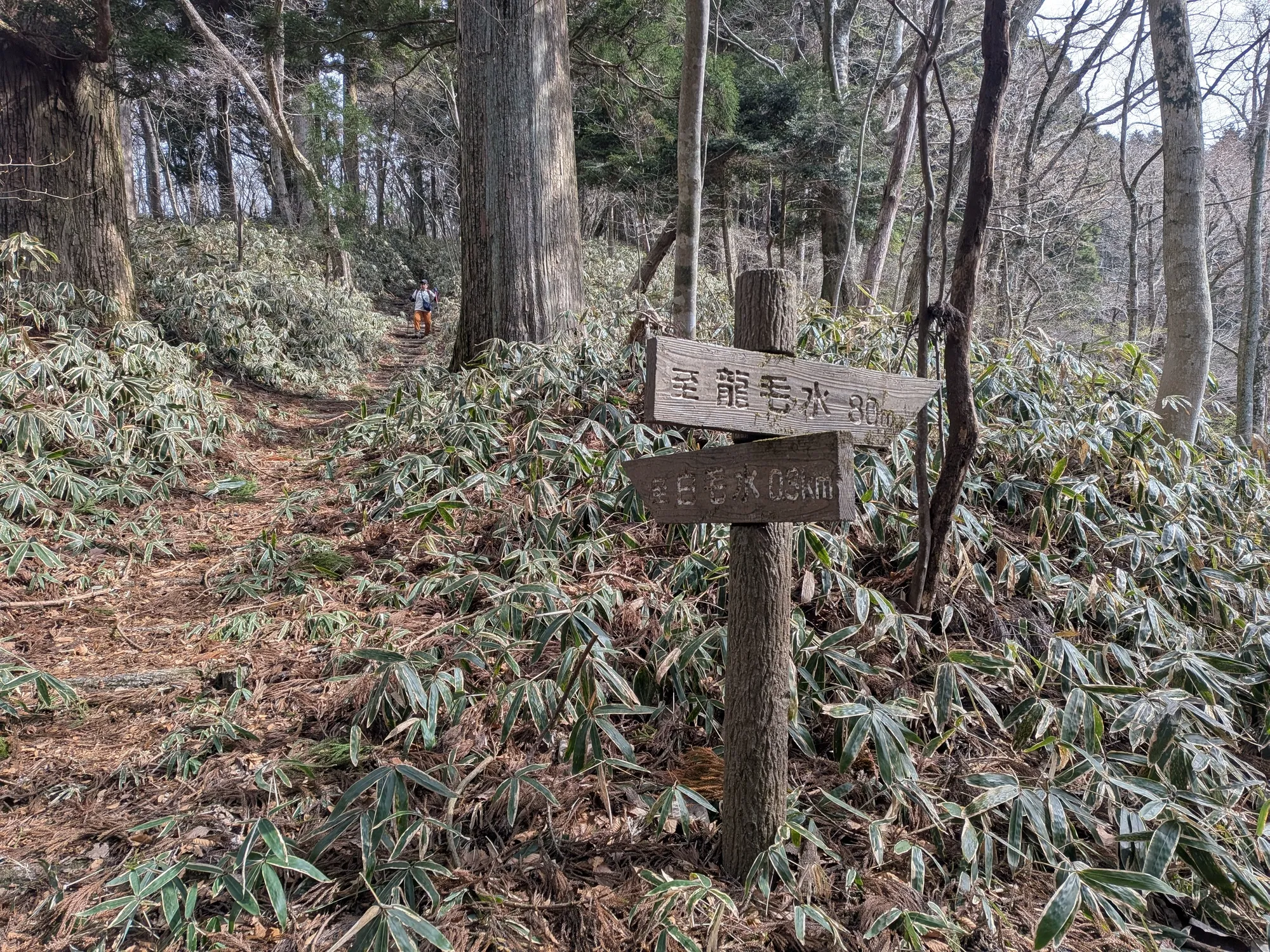 たむら鍼灸整骨院のイメージ