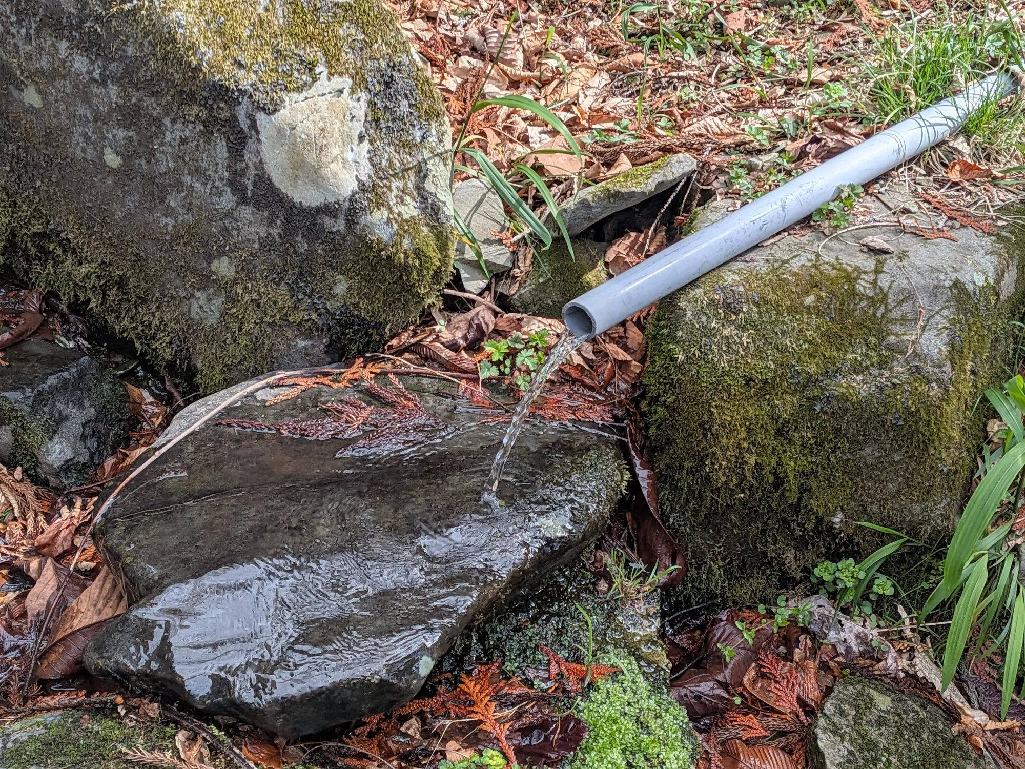 たむら鍼灸整骨院のイメージ