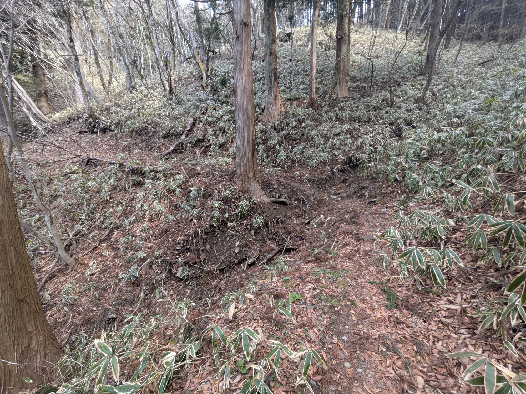 たむら鍼灸整骨院のイメージ