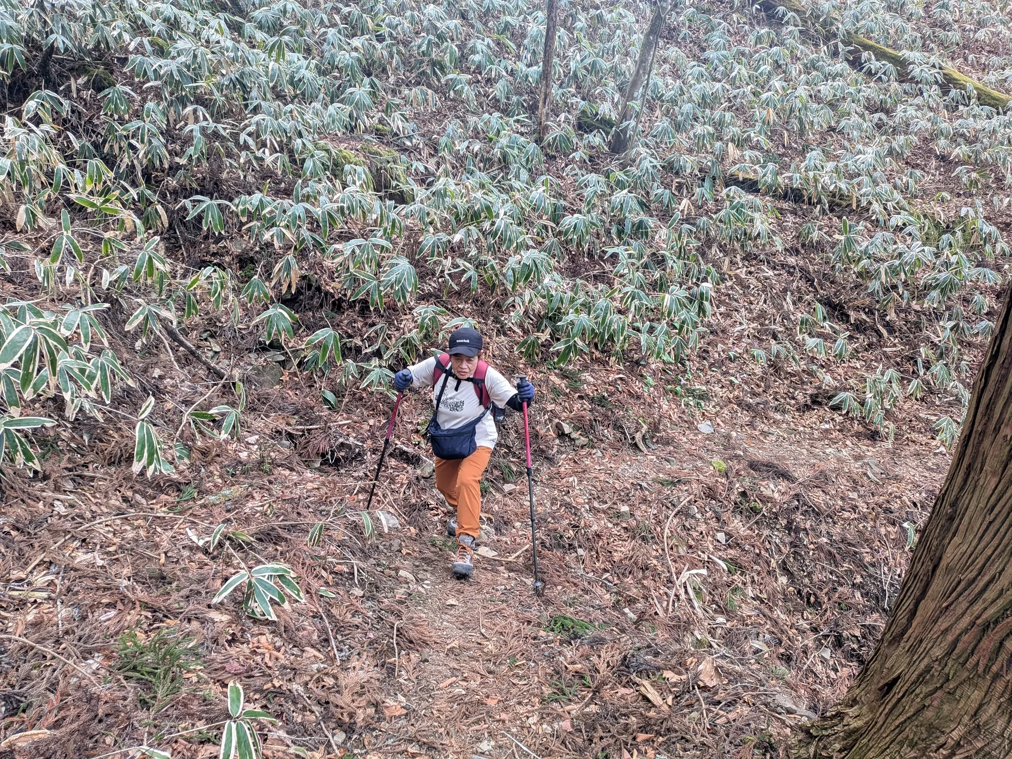 たむら鍼灸整骨院のイメージ