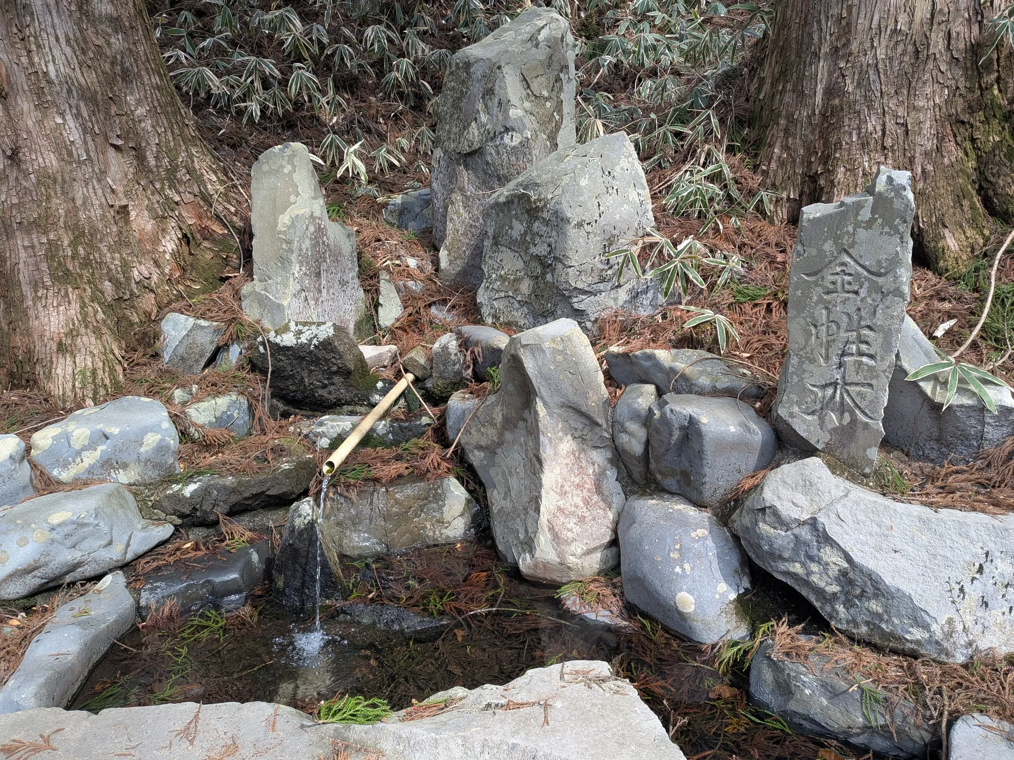 たむら鍼灸整骨院のイメージ