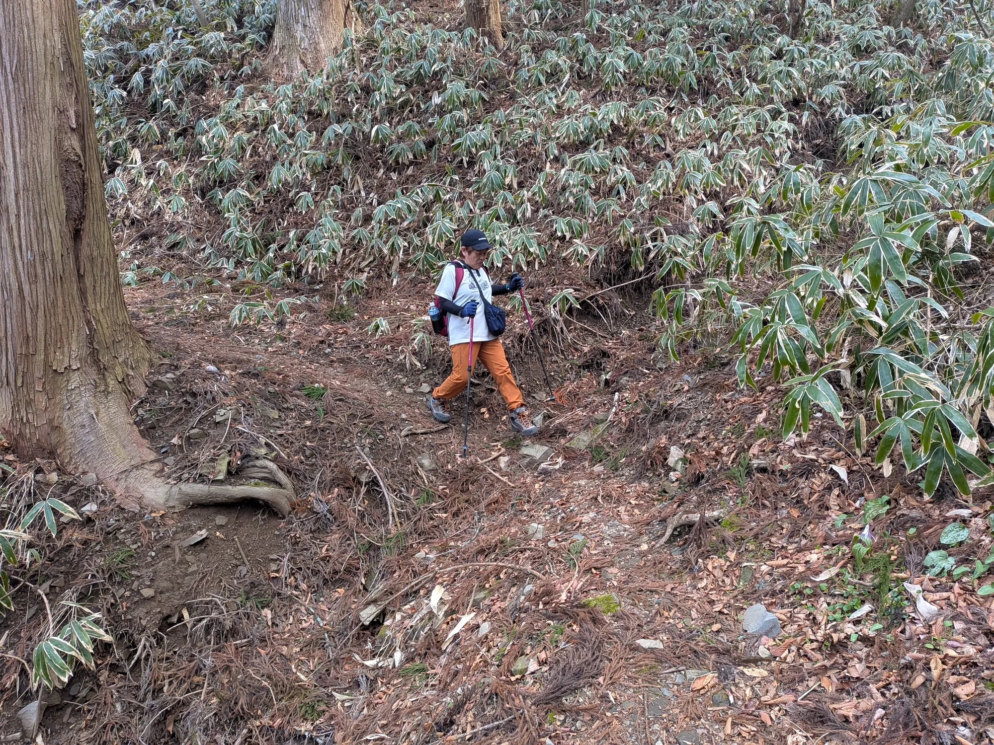 たむら鍼灸整骨院のイメージ