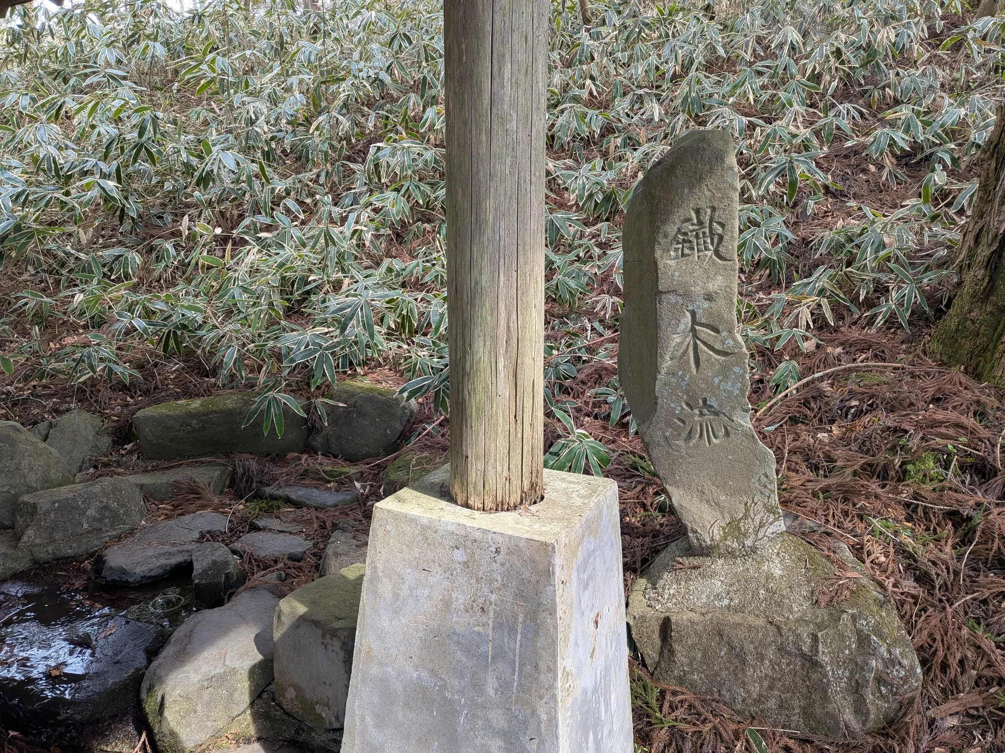 たむら鍼灸整骨院のイメージ