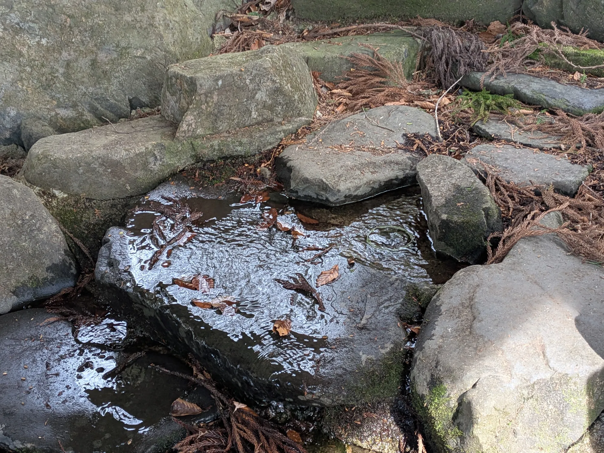 たむら鍼灸整骨院のイメージ