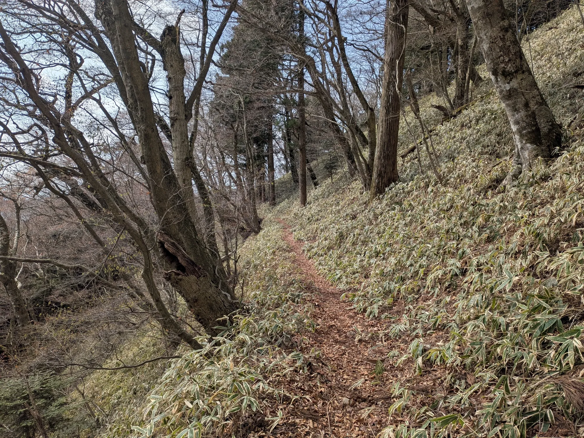 たむら鍼灸整骨院のイメージ
