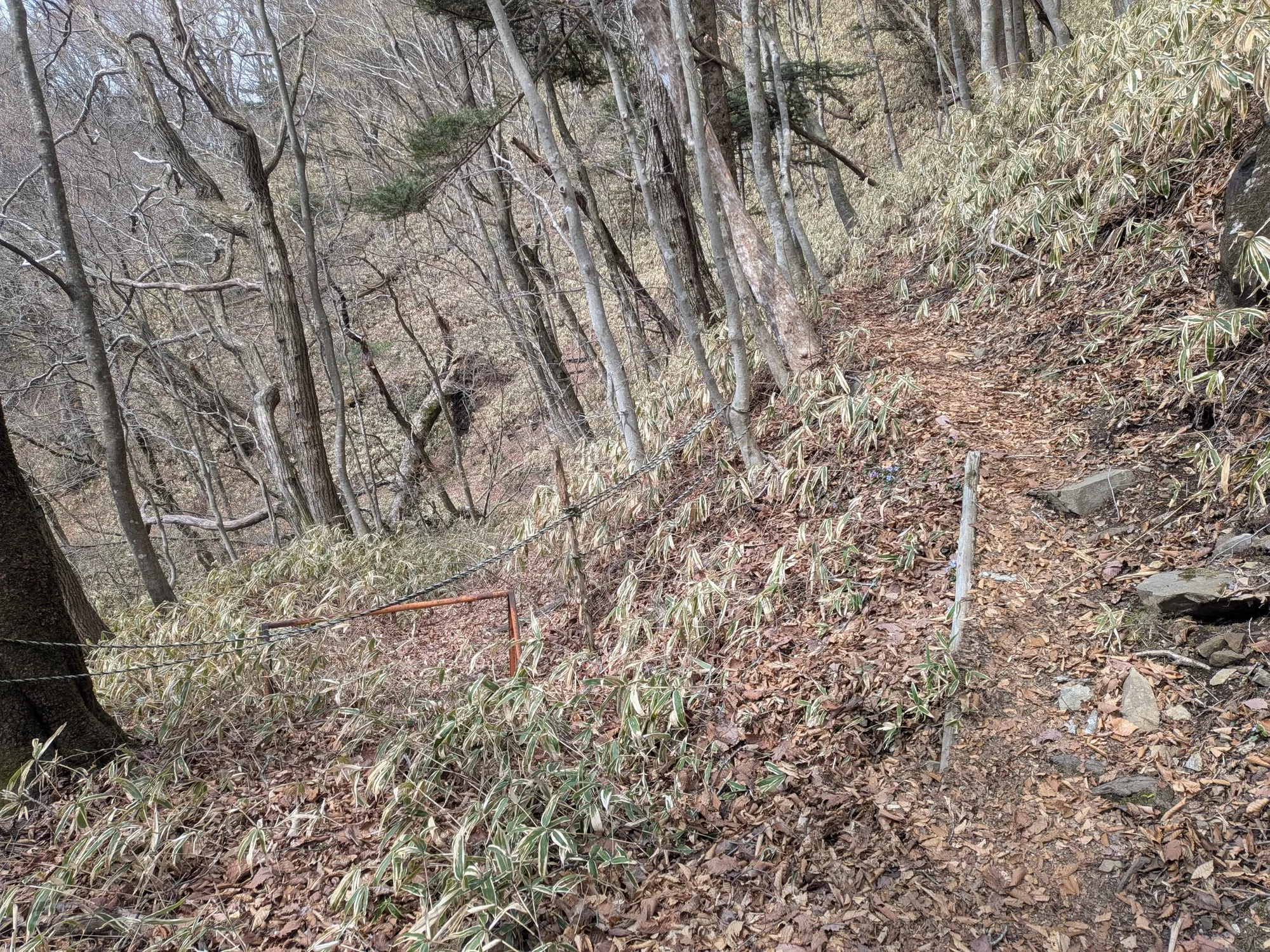 たむら鍼灸整骨院のイメージ