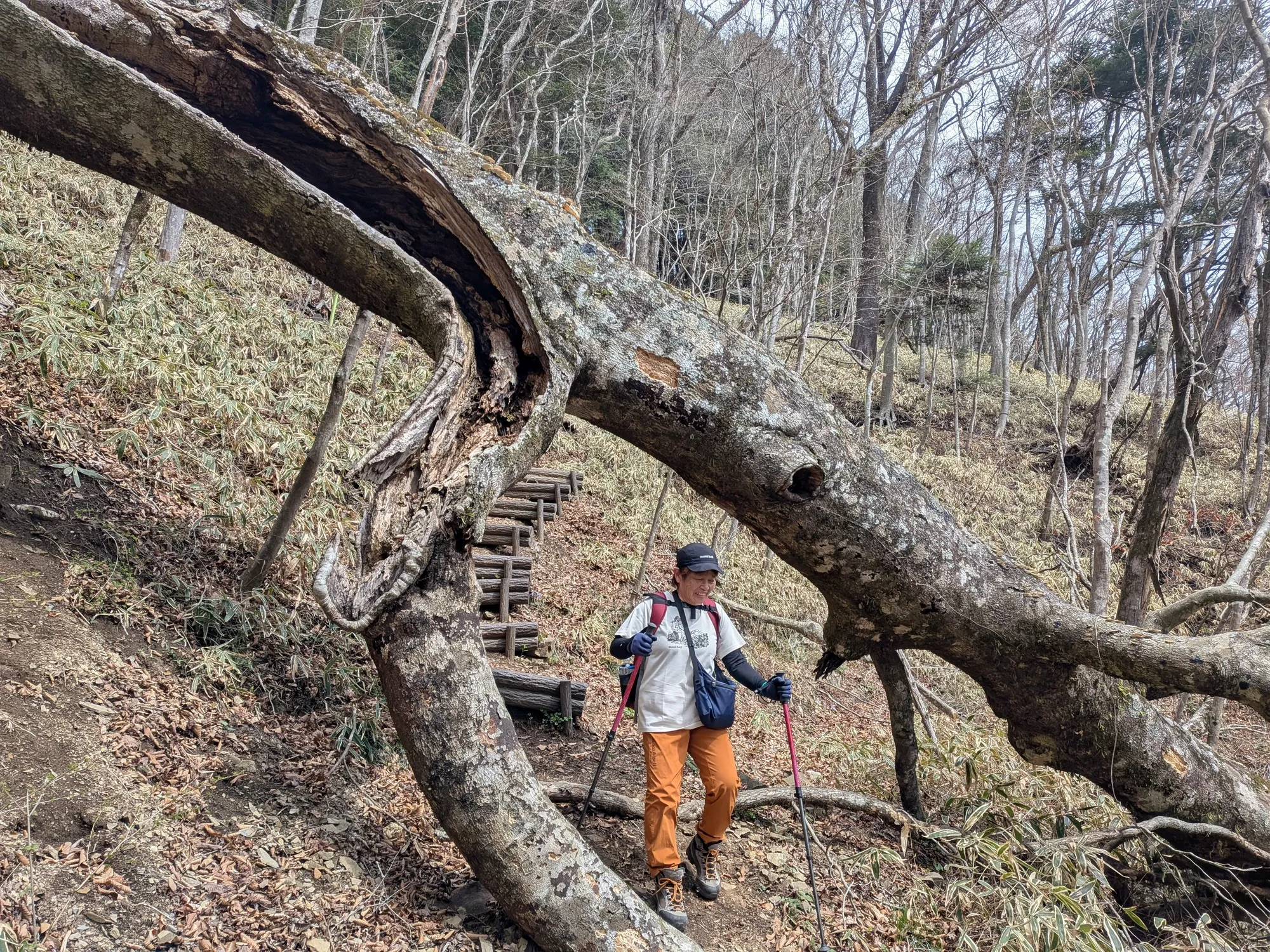 たむら鍼灸整骨院のイメージ