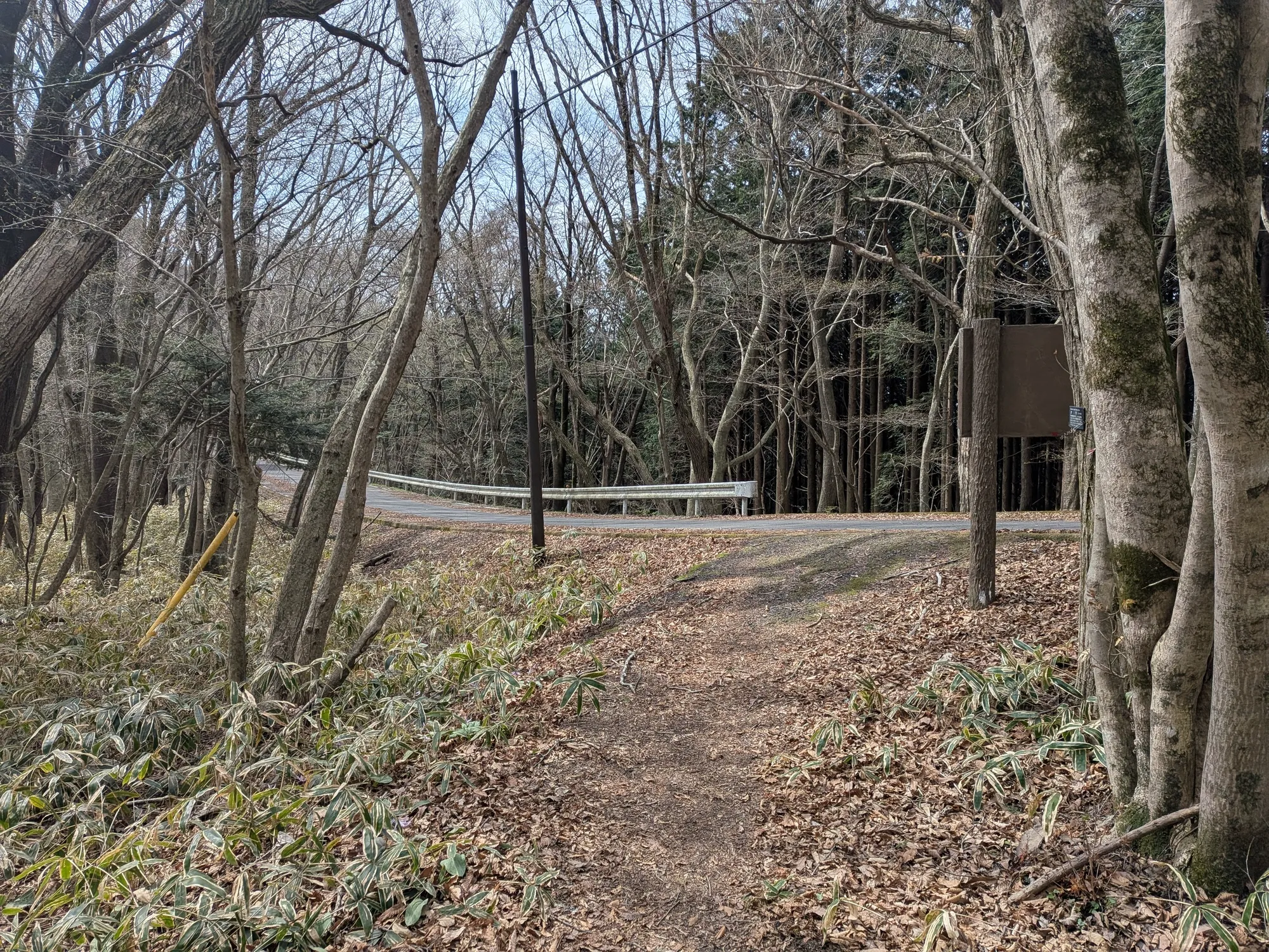 たむら鍼灸整骨院のイメージ