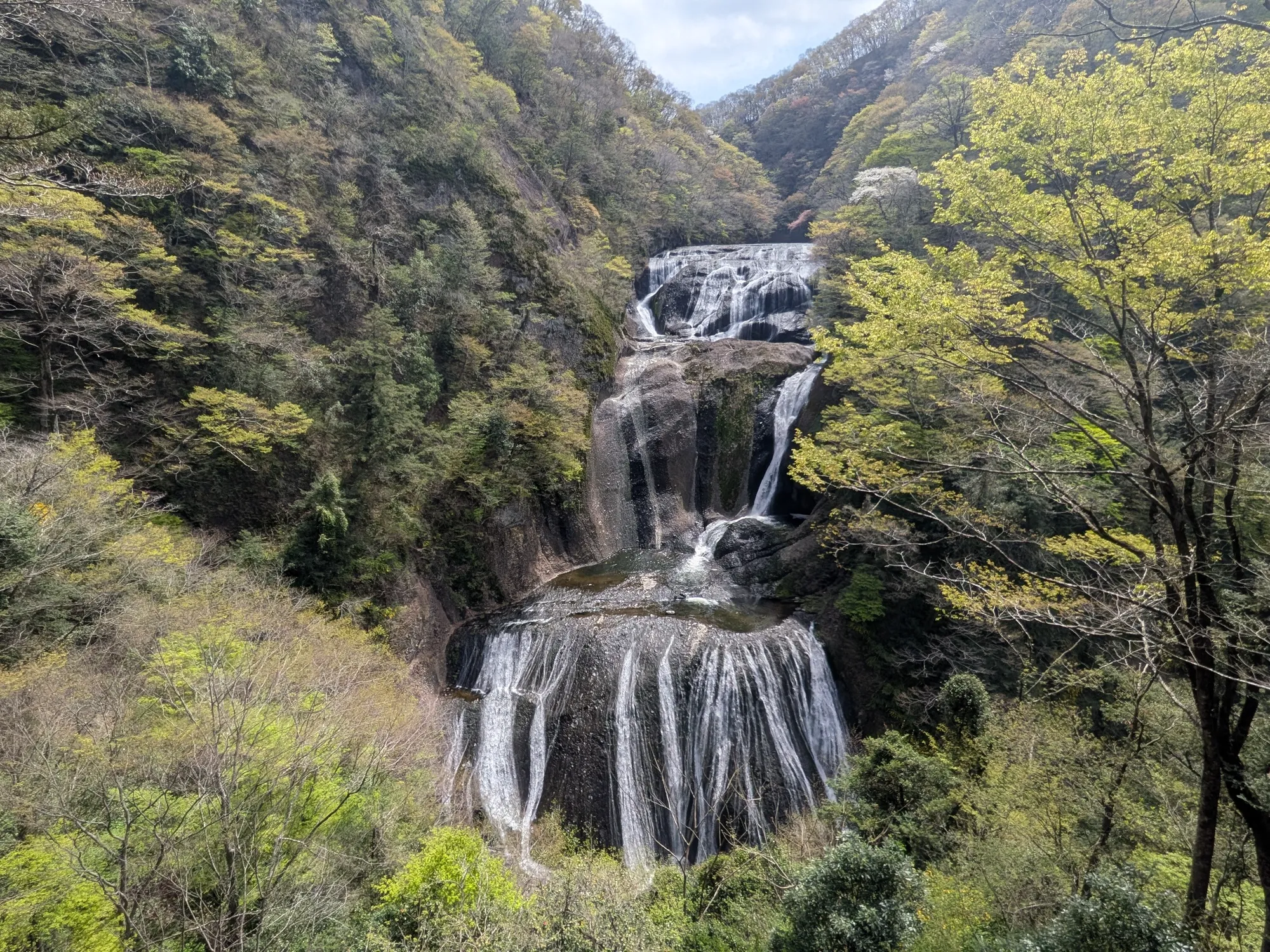 たむら鍼灸整骨院のイメージ
