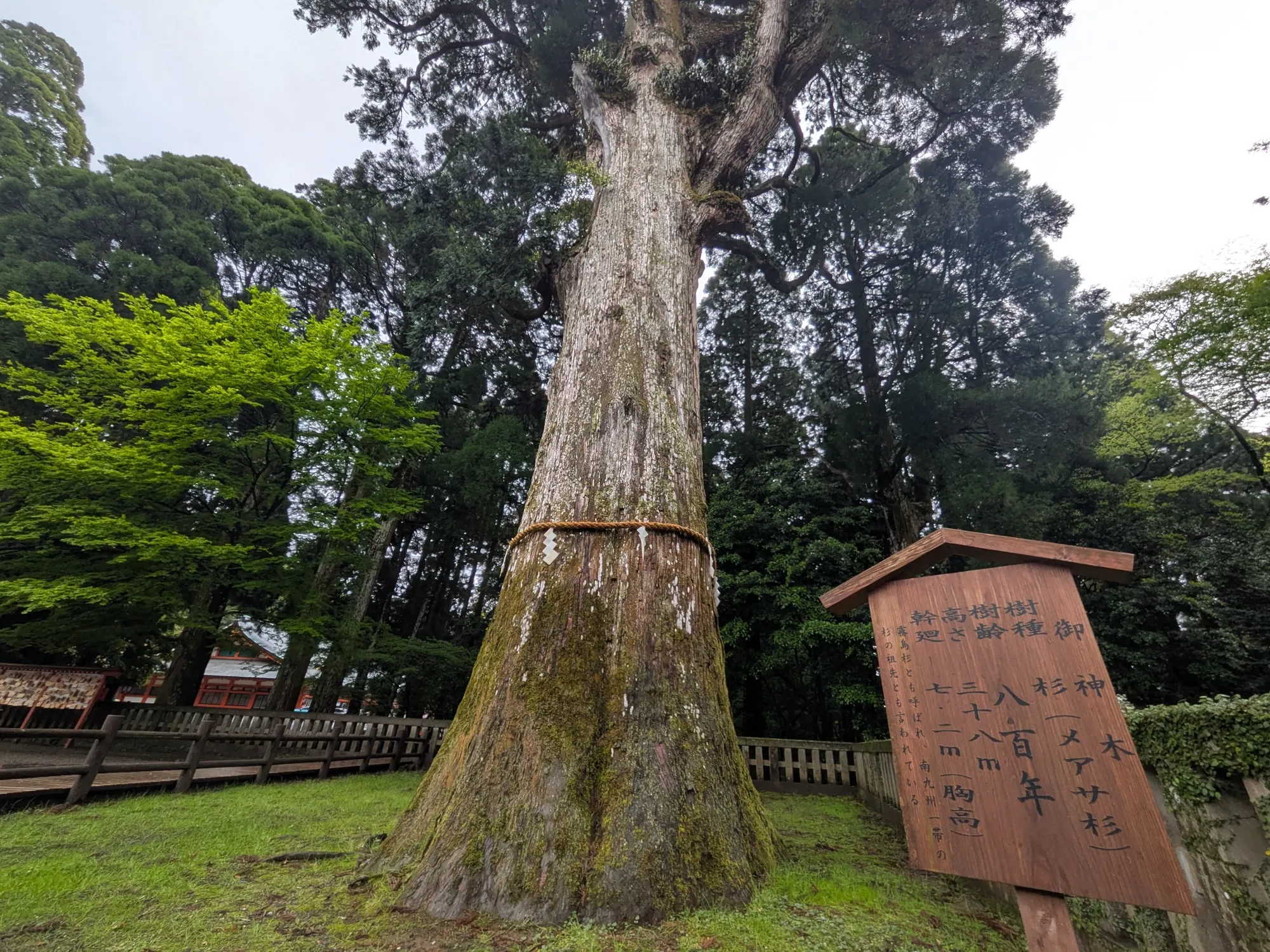 たむら鍼灸整骨院のイメージ