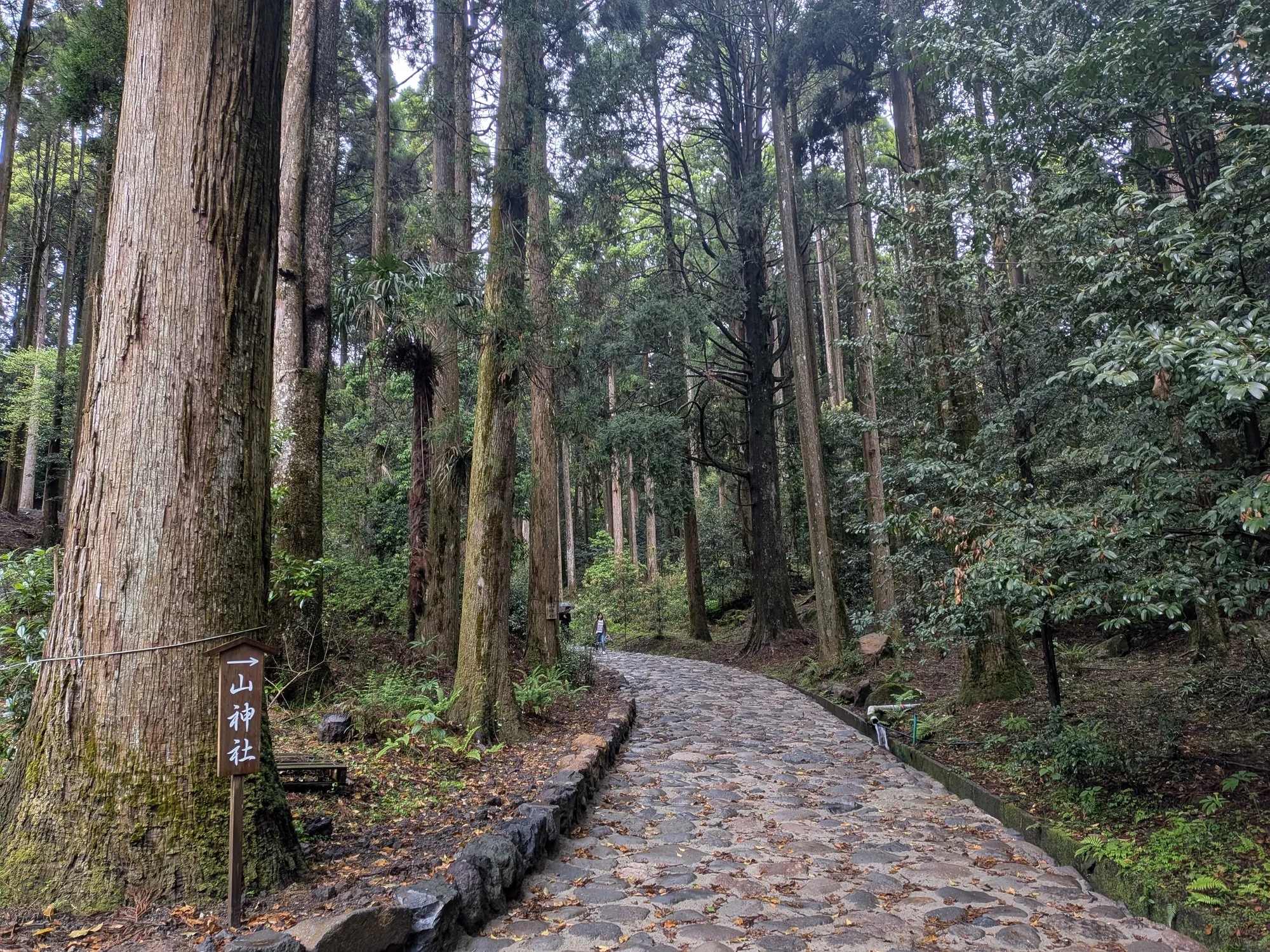 たむら鍼灸整骨院のイメージ