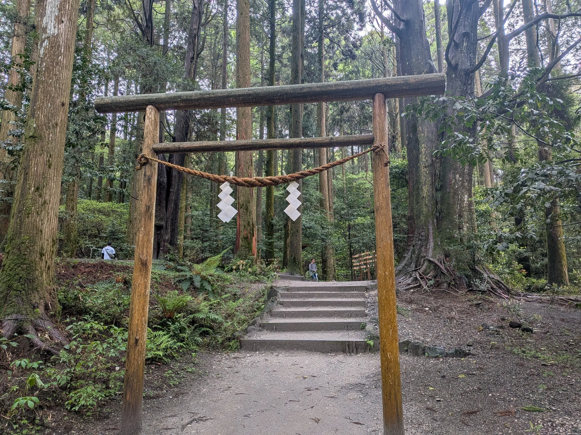 たむら鍼灸整骨院のイメージ