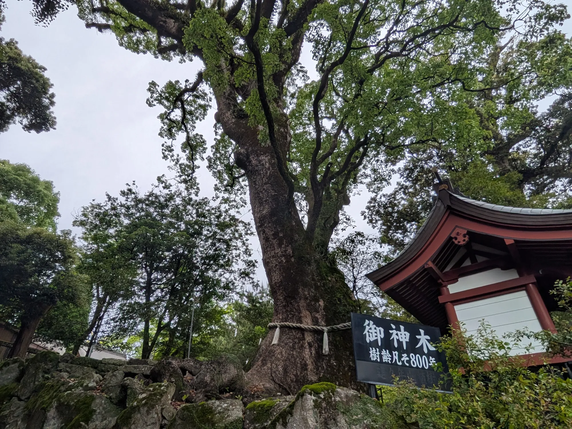 たむら鍼灸整骨院のイメージ