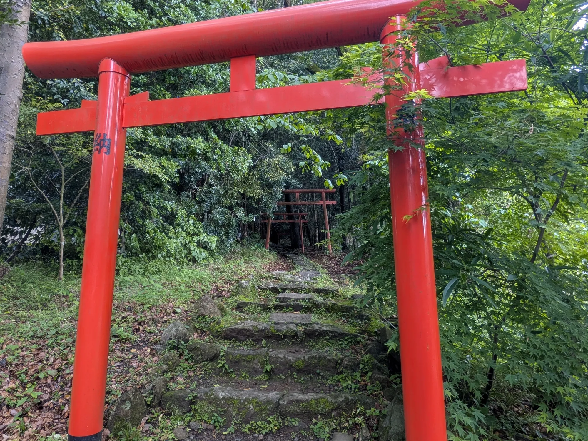 たむら鍼灸整骨院のイメージ