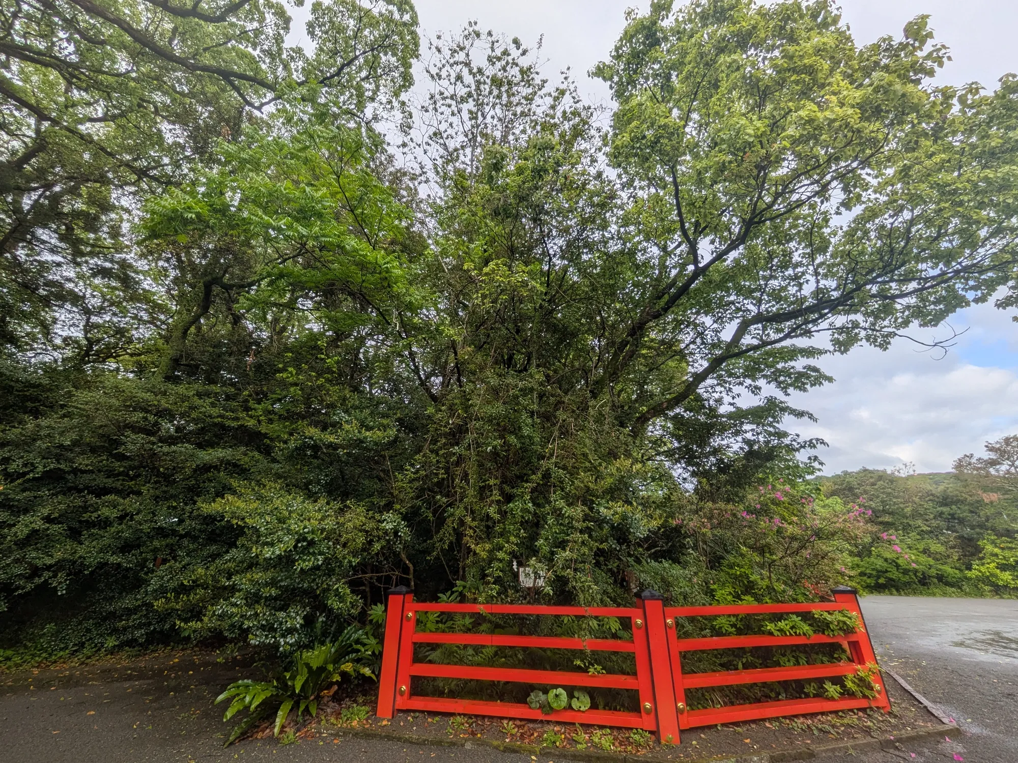 たむら鍼灸整骨院のイメージ