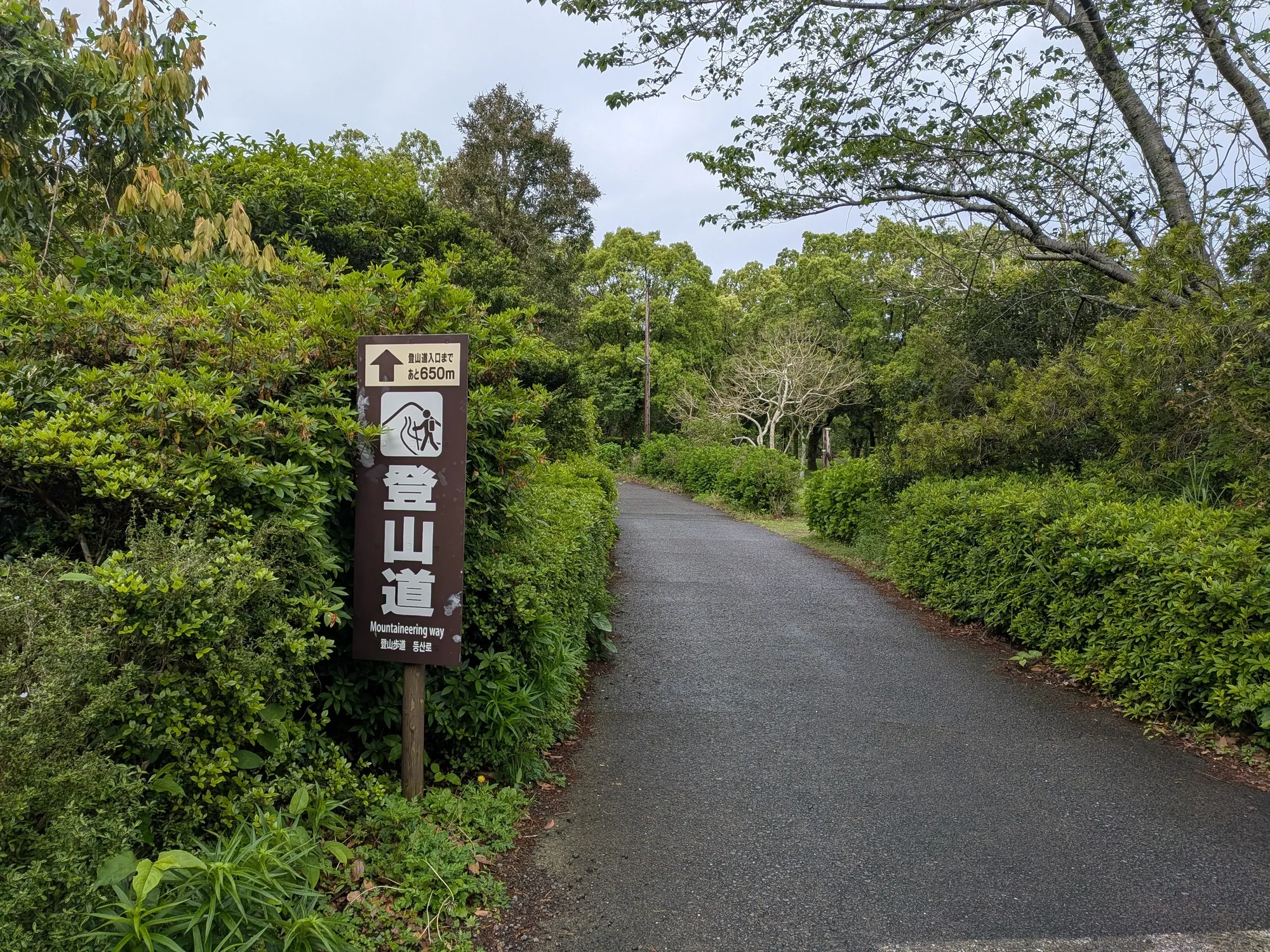 たむら鍼灸整骨院のイメージ