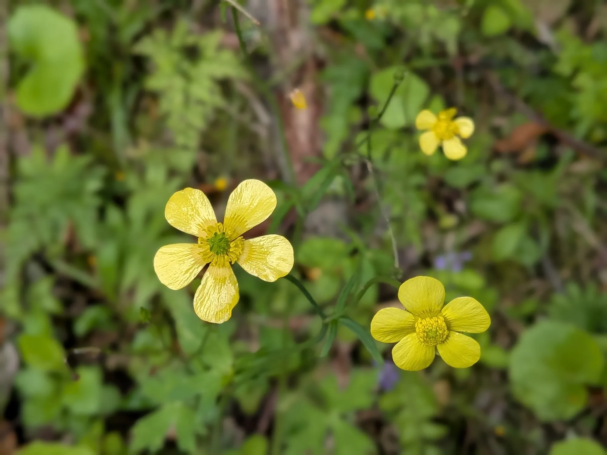 たむら鍼灸整骨院のイメージ