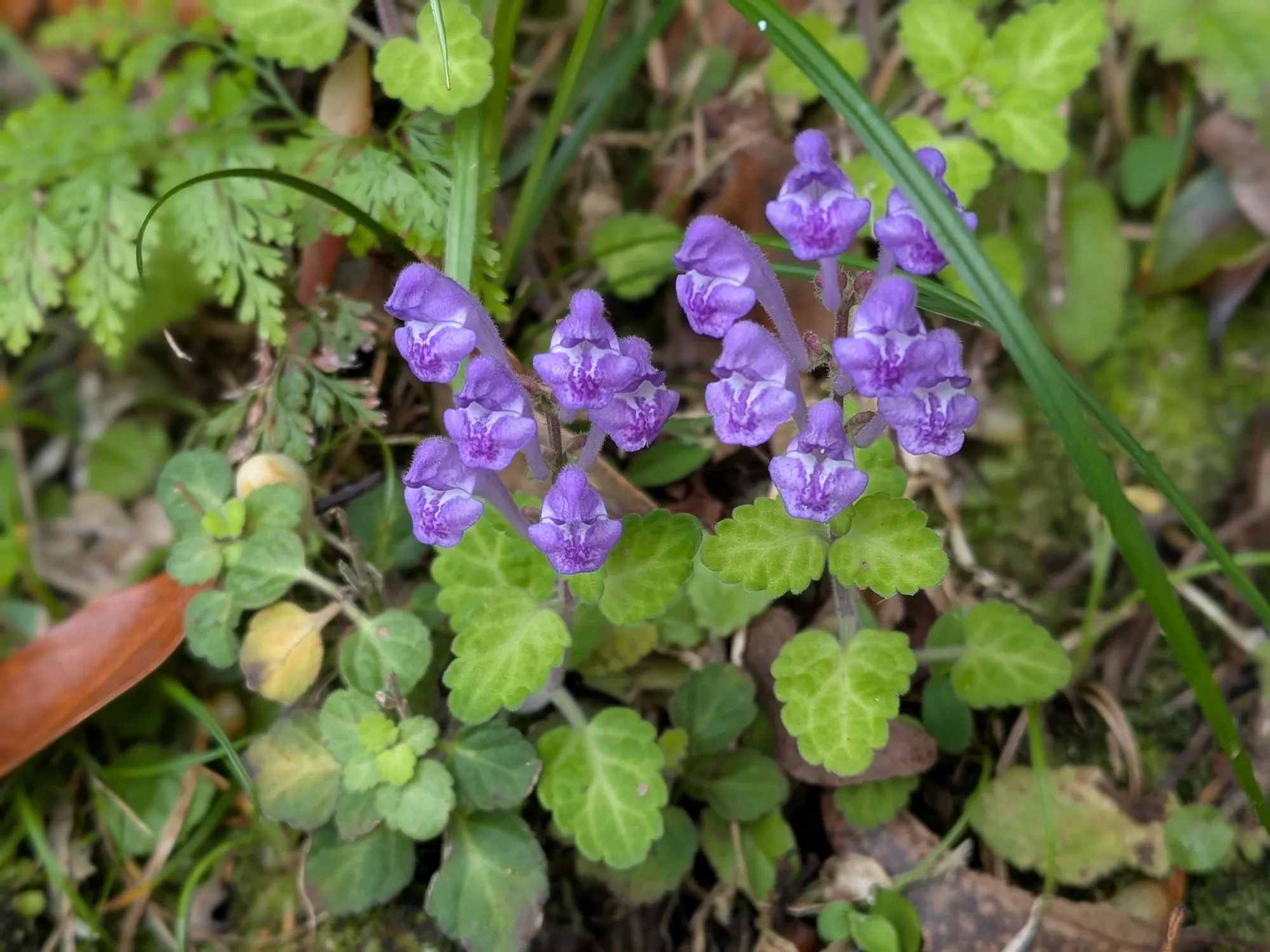 たむら鍼灸整骨院のイメージ