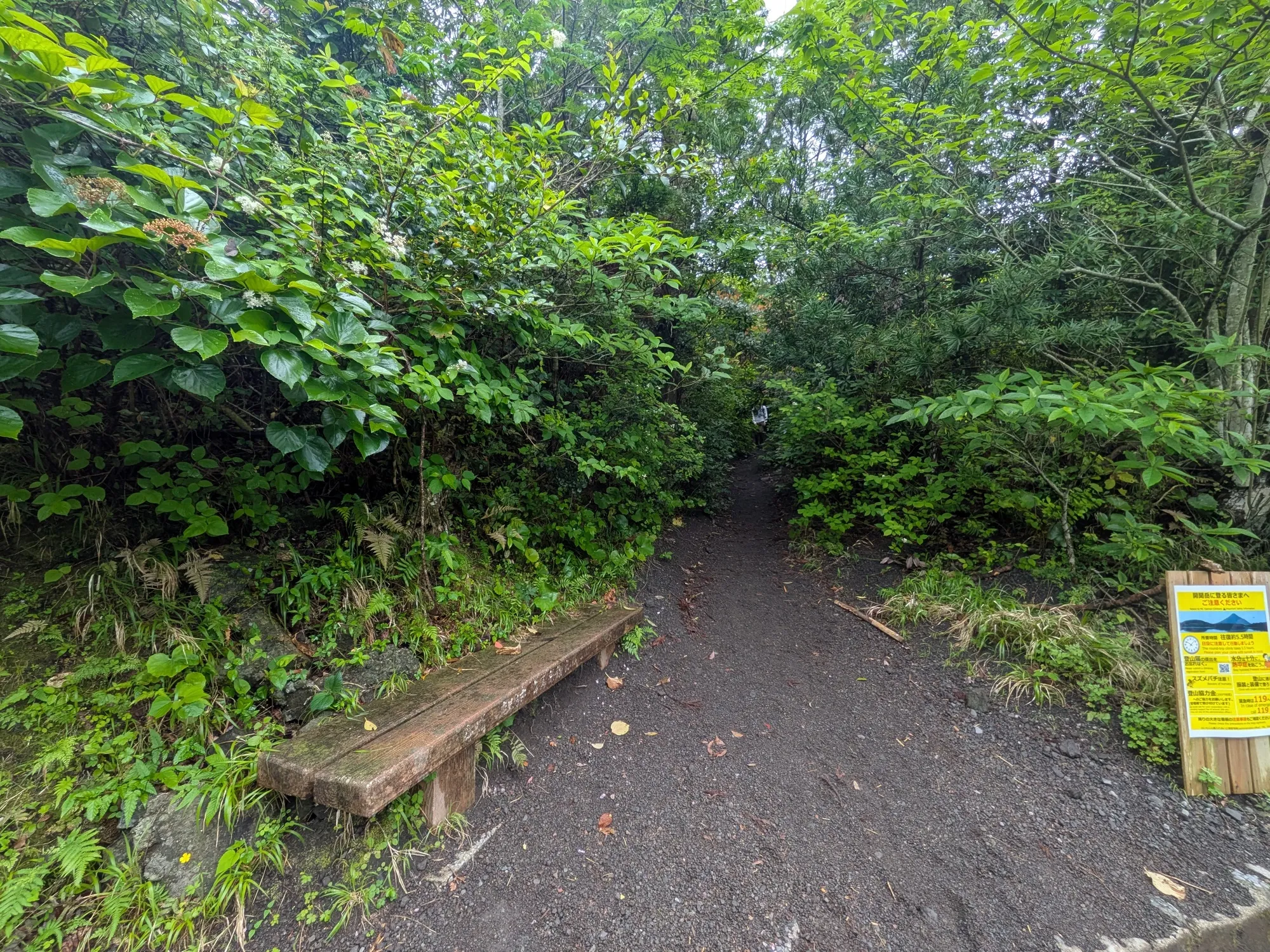 たむら鍼灸整骨院のイメージ