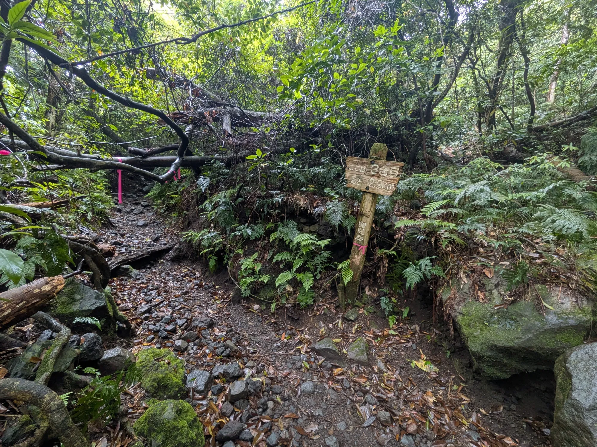 たむら鍼灸整骨院のイメージ