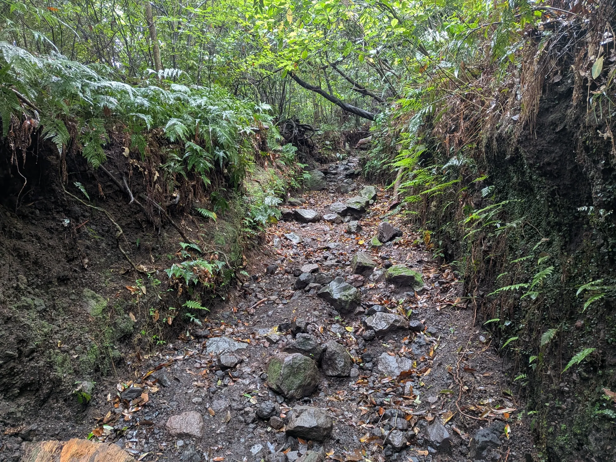 たむら鍼灸整骨院のイメージ