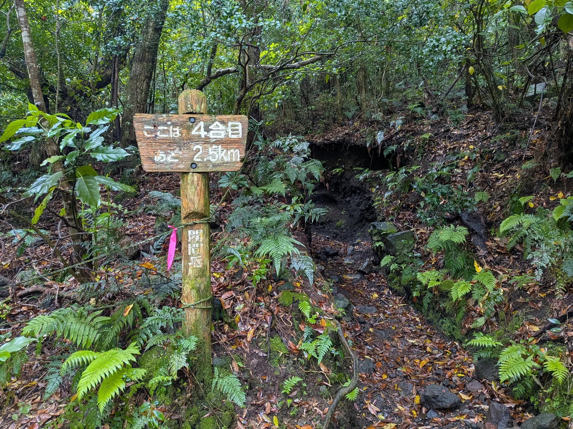 たむら鍼灸整骨院のイメージ