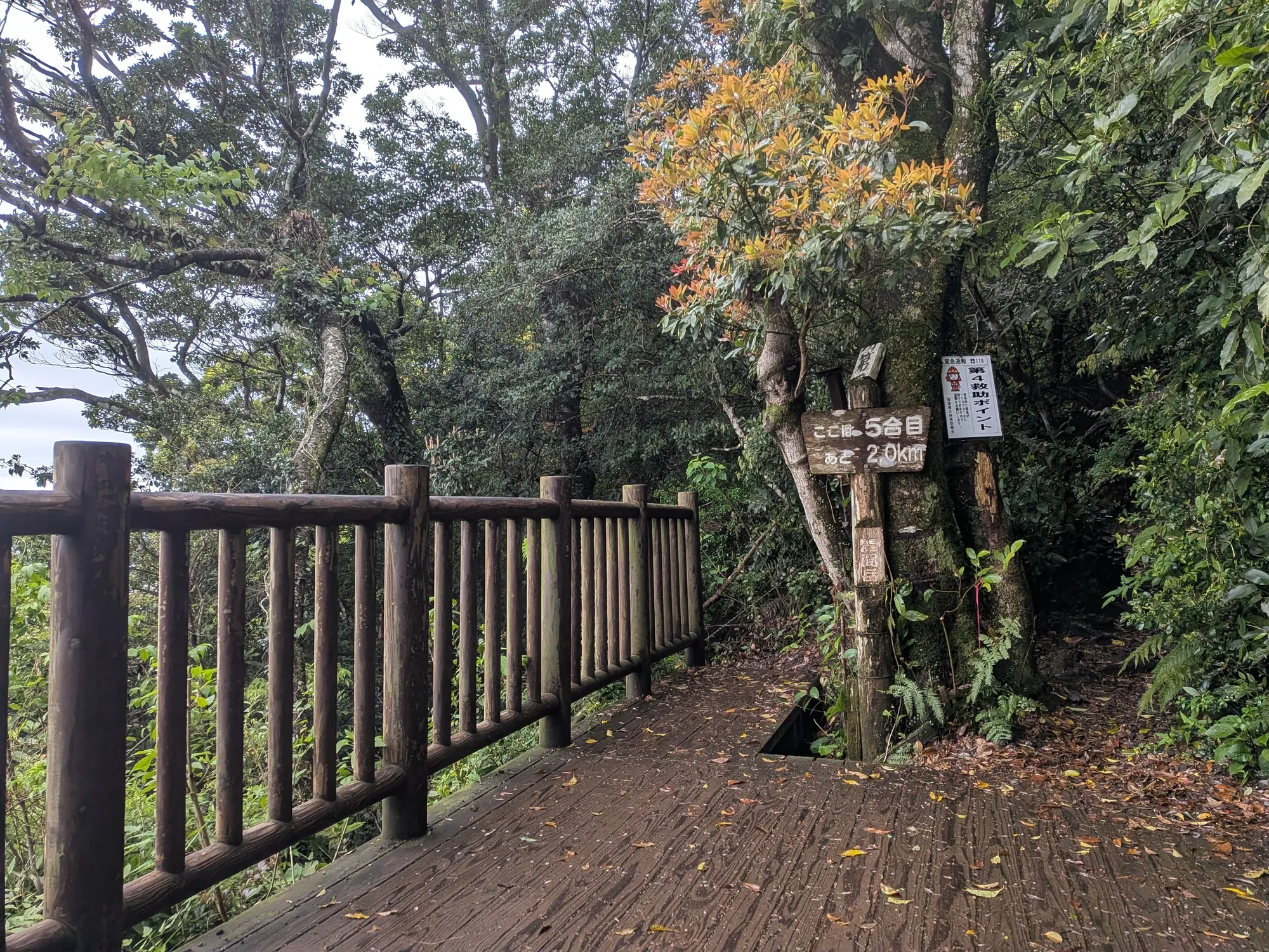 たむら鍼灸整骨院のイメージ