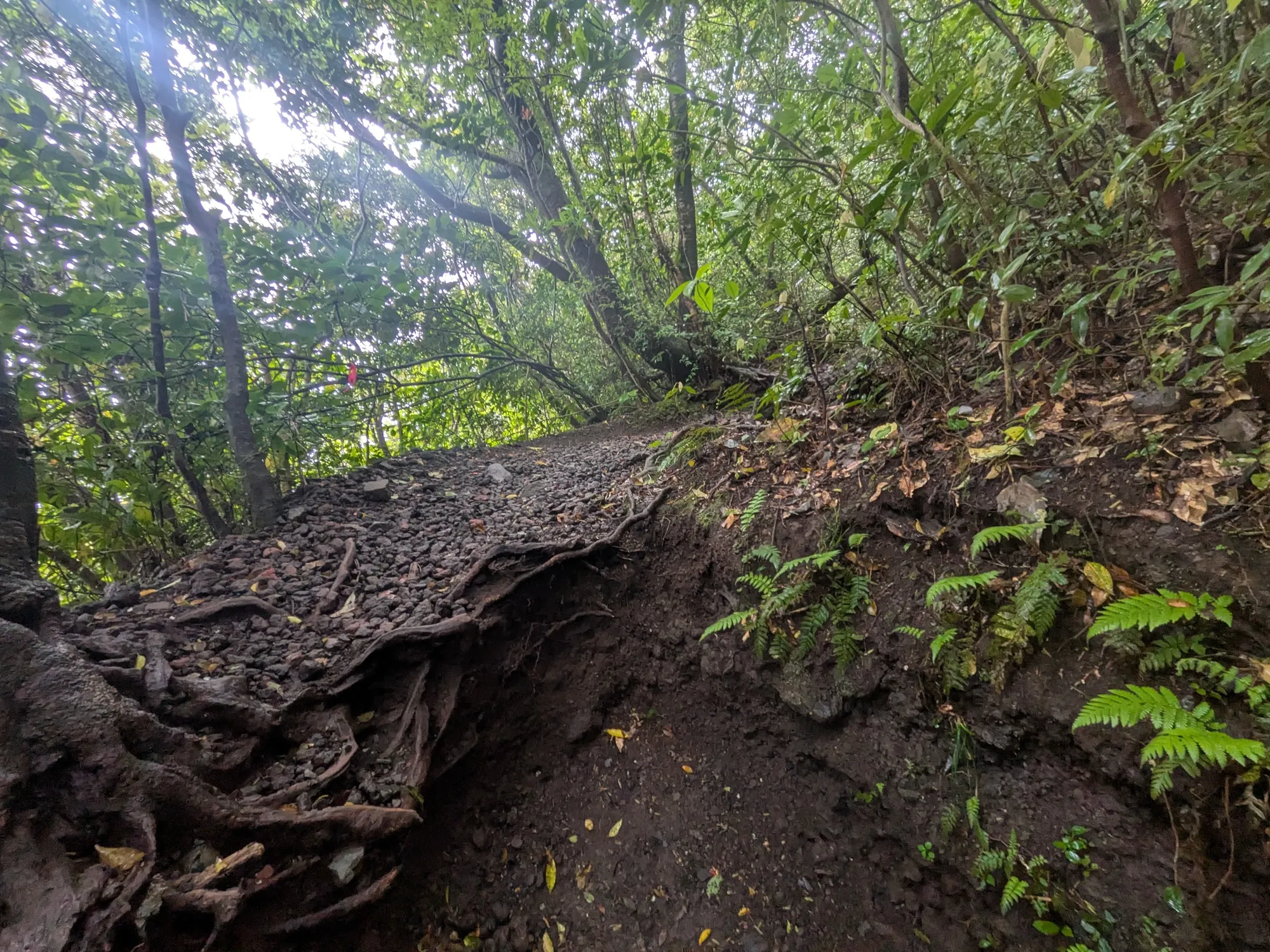 たむら鍼灸整骨院のイメージ