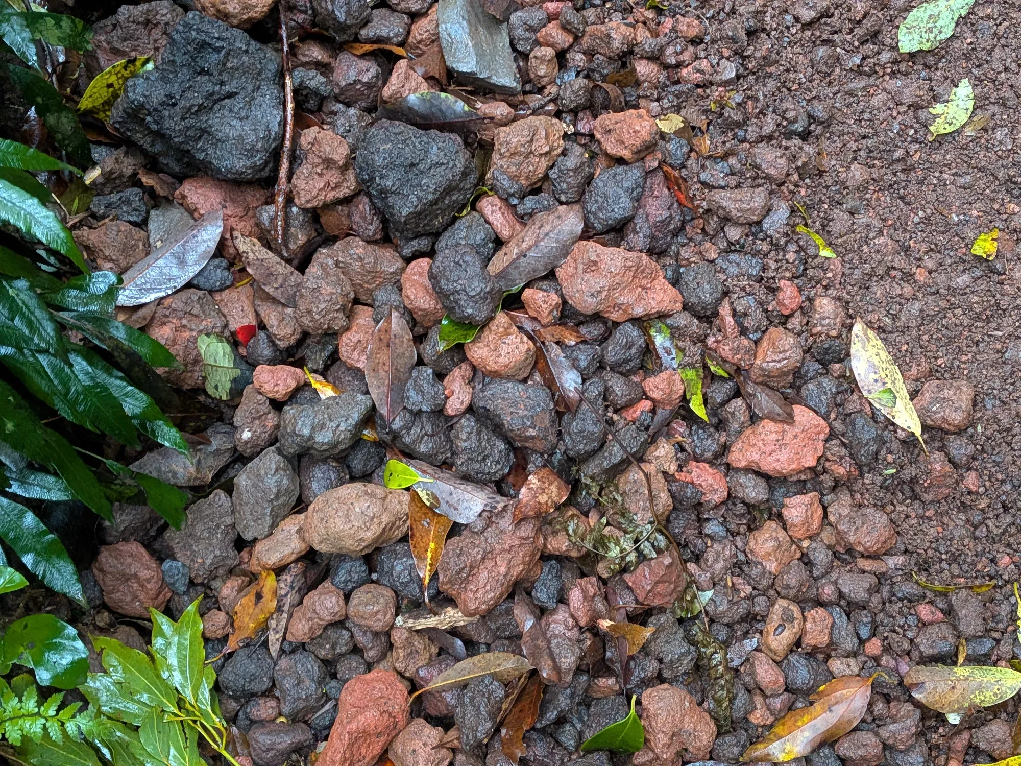 たむら鍼灸整骨院のイメージ