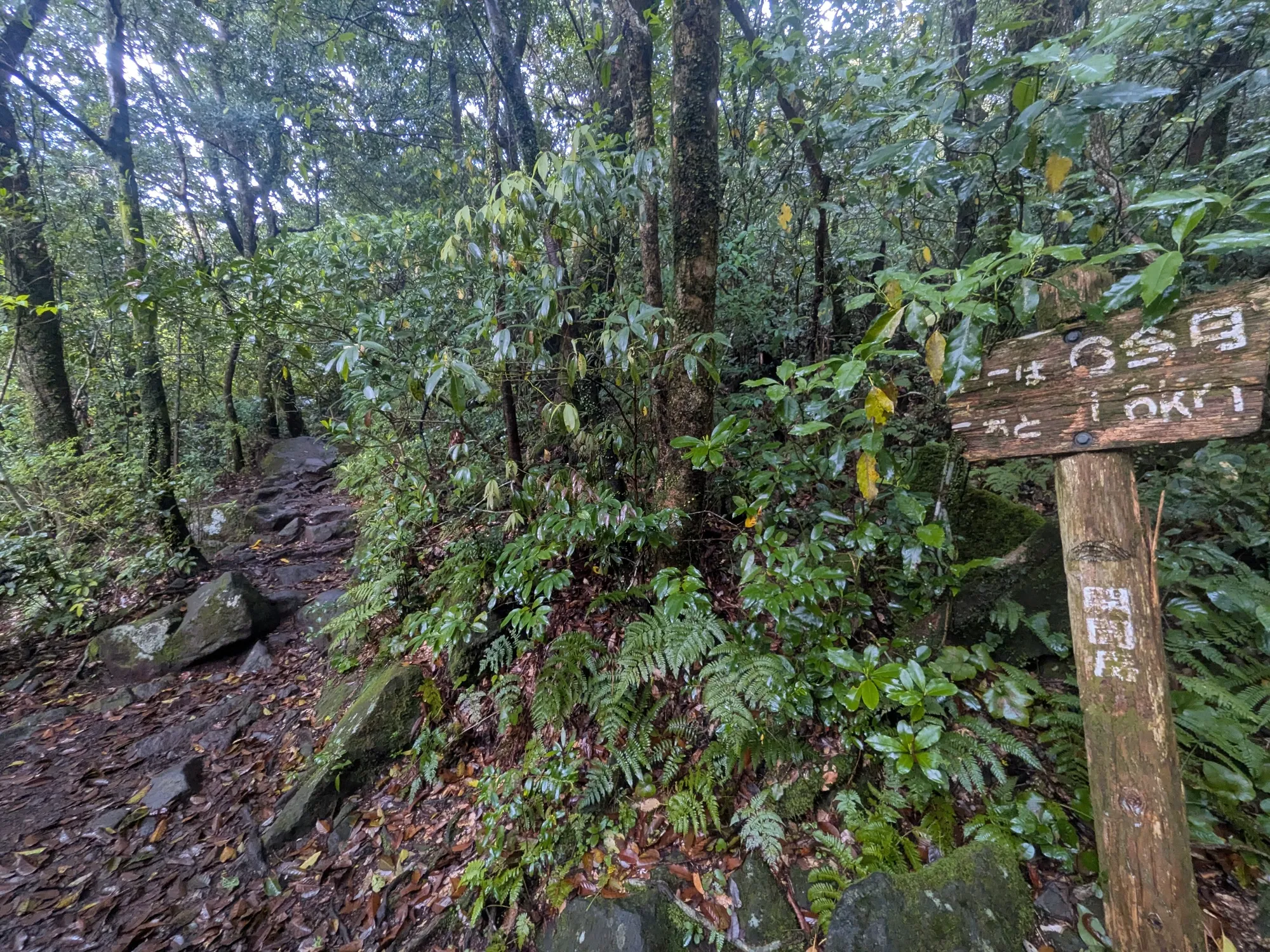 たむら鍼灸整骨院のイメージ