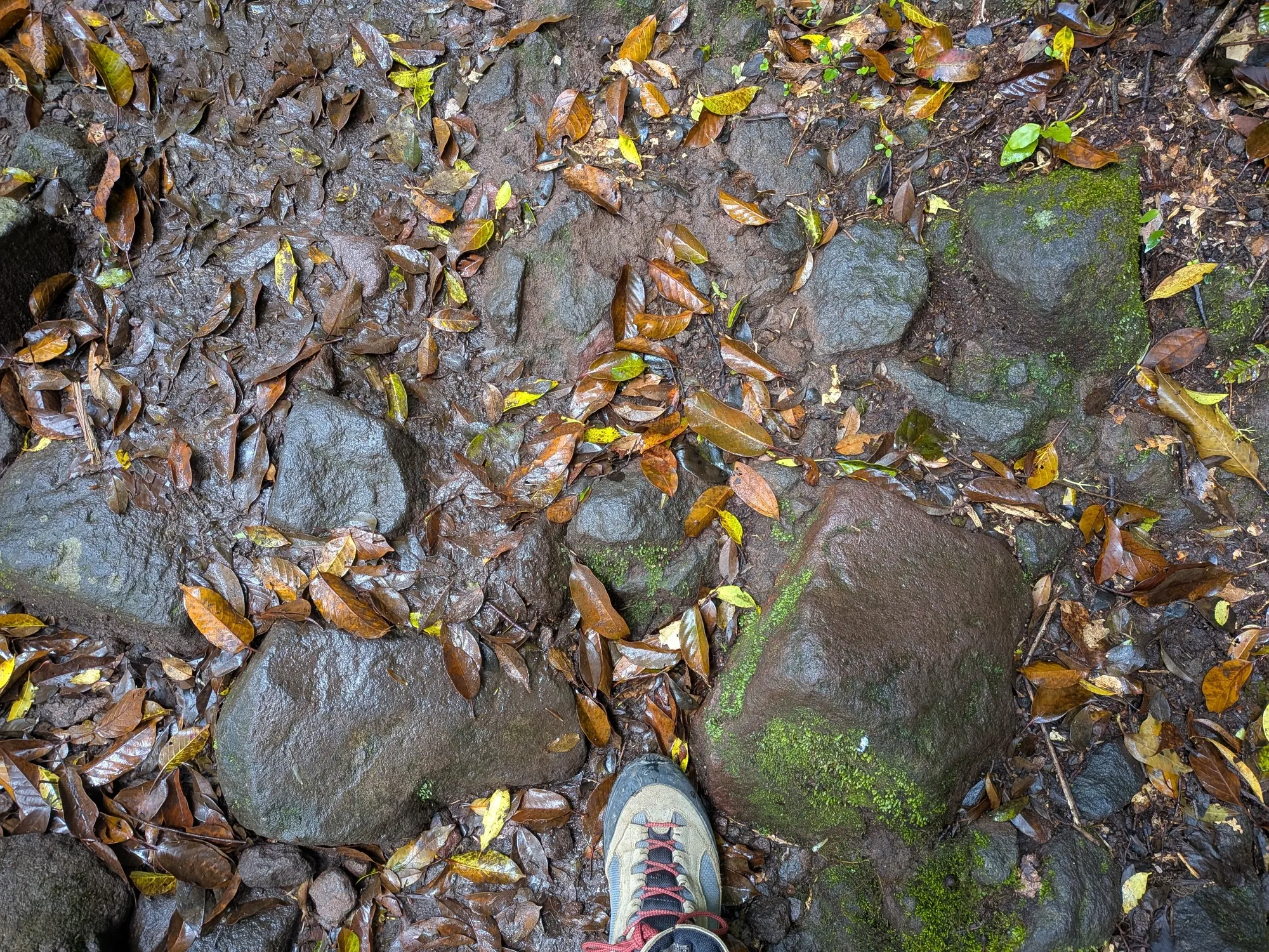 たむら鍼灸整骨院のイメージ