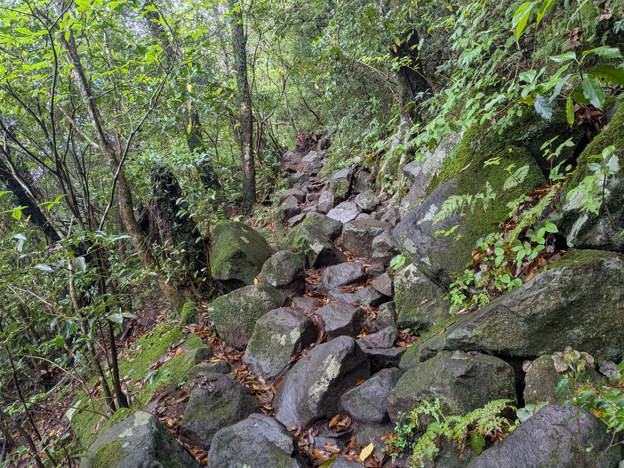 たむら鍼灸整骨院のイメージ