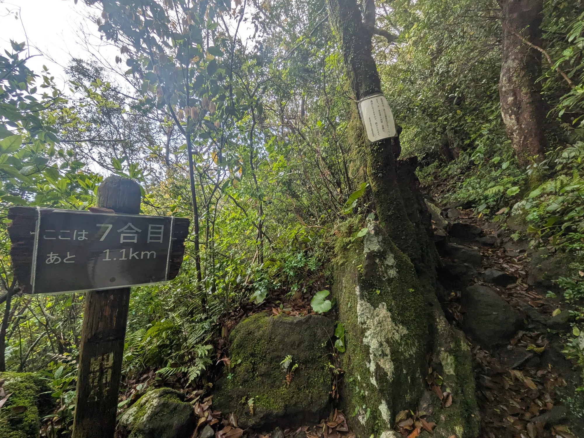 たむら鍼灸整骨院のイメージ