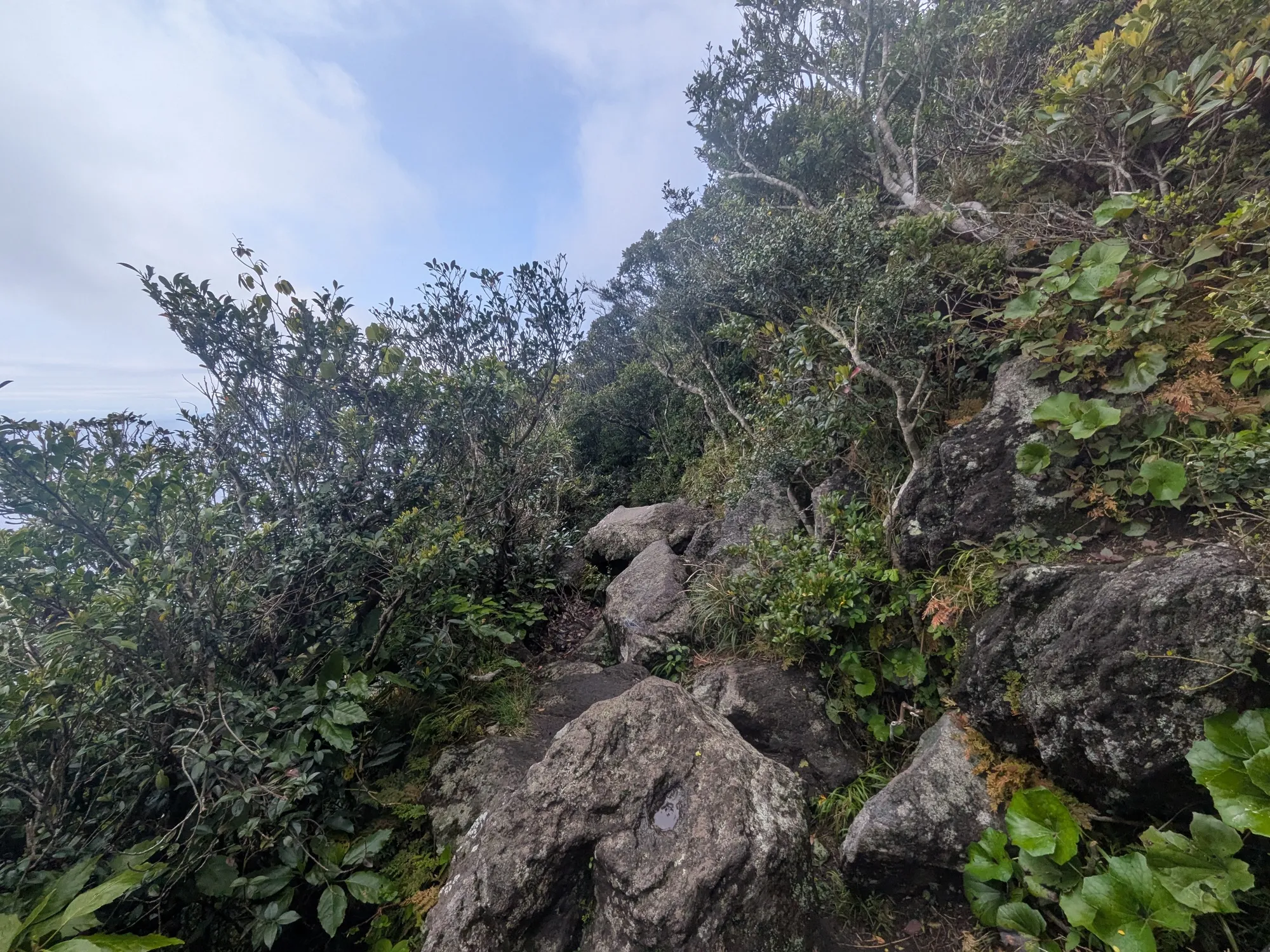 たむら鍼灸整骨院のイメージ