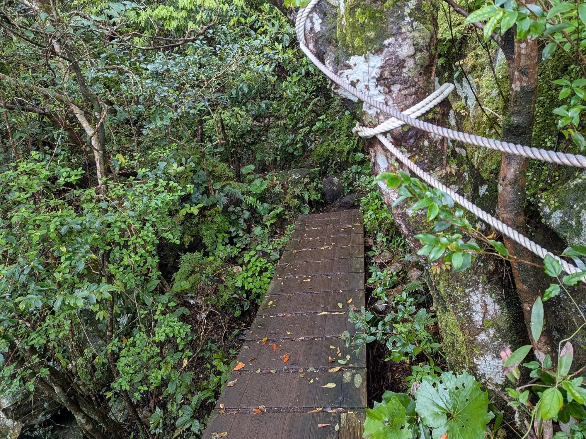 たむら鍼灸整骨院のイメージ