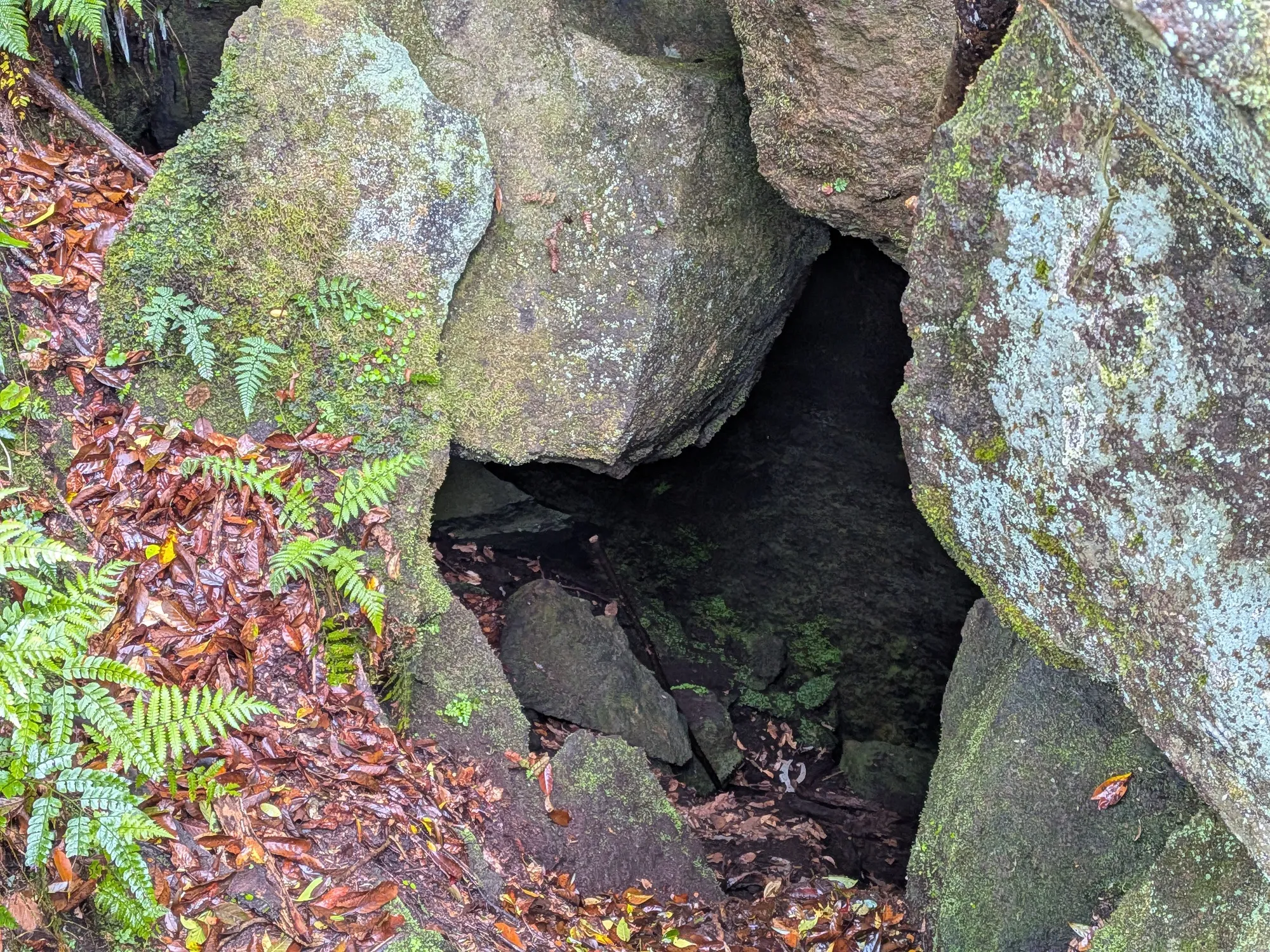 たむら鍼灸整骨院のイメージ