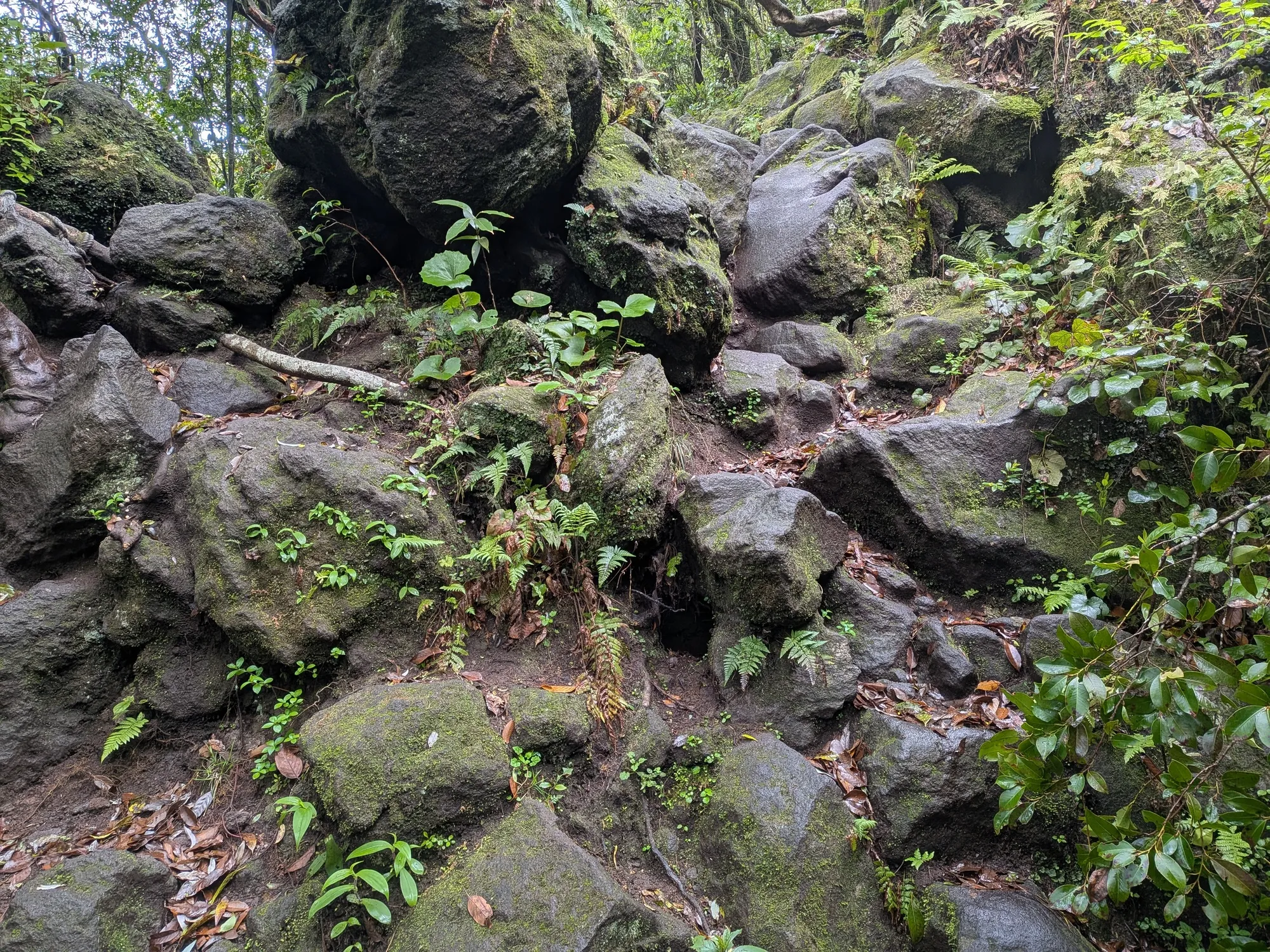 たむら鍼灸整骨院のイメージ