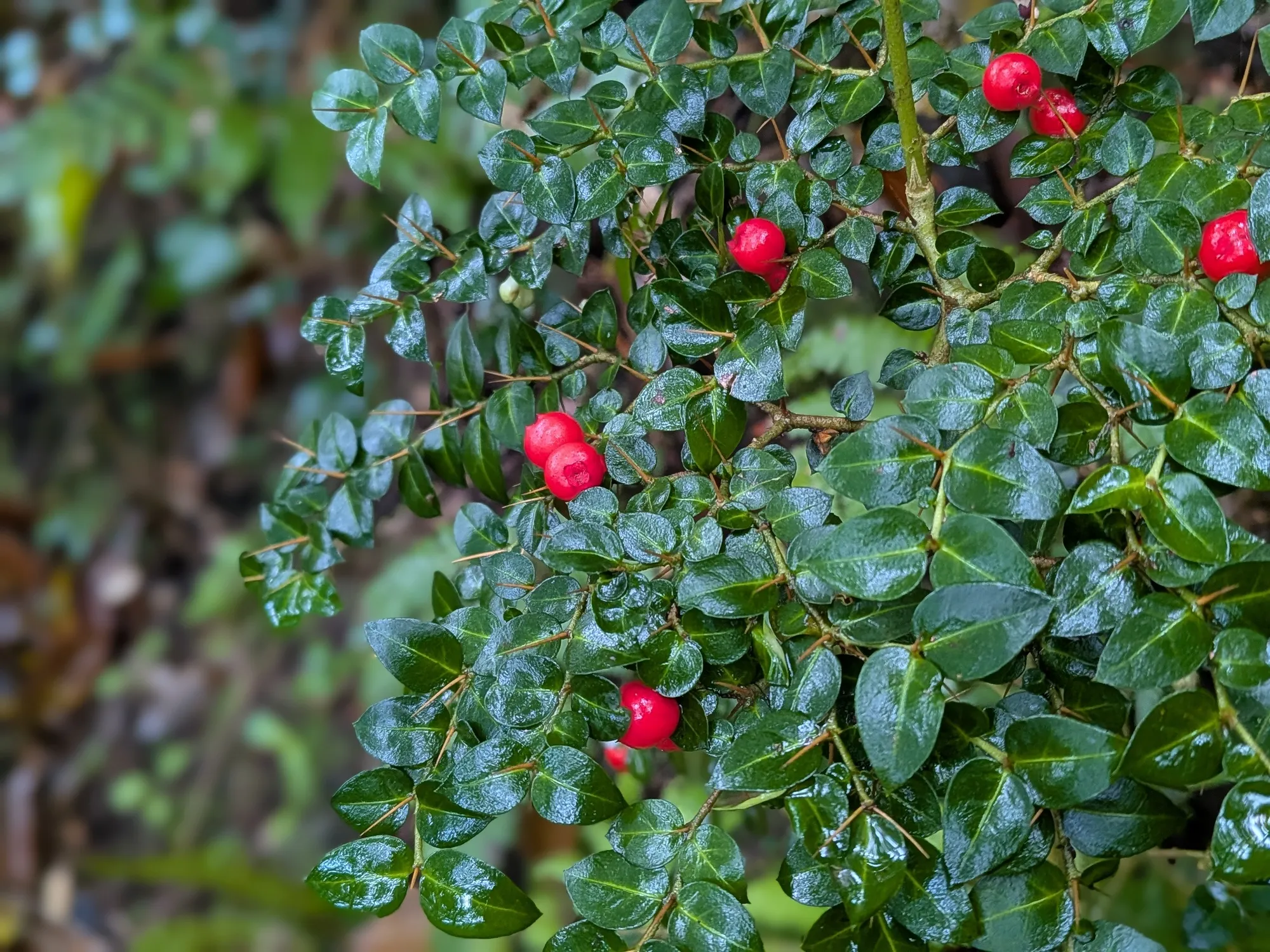 たむら鍼灸整骨院のイメージ