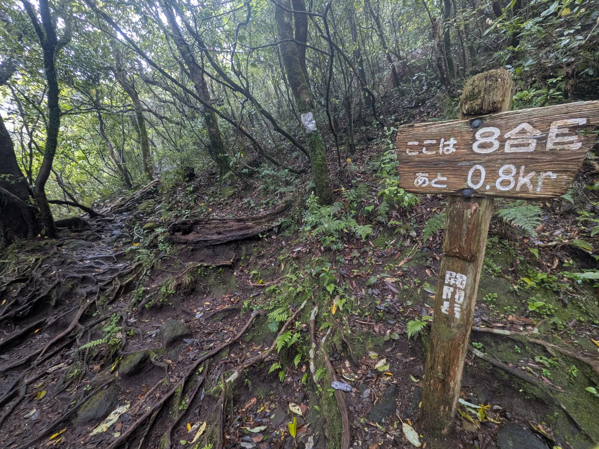 たむら鍼灸整骨院のイメージ