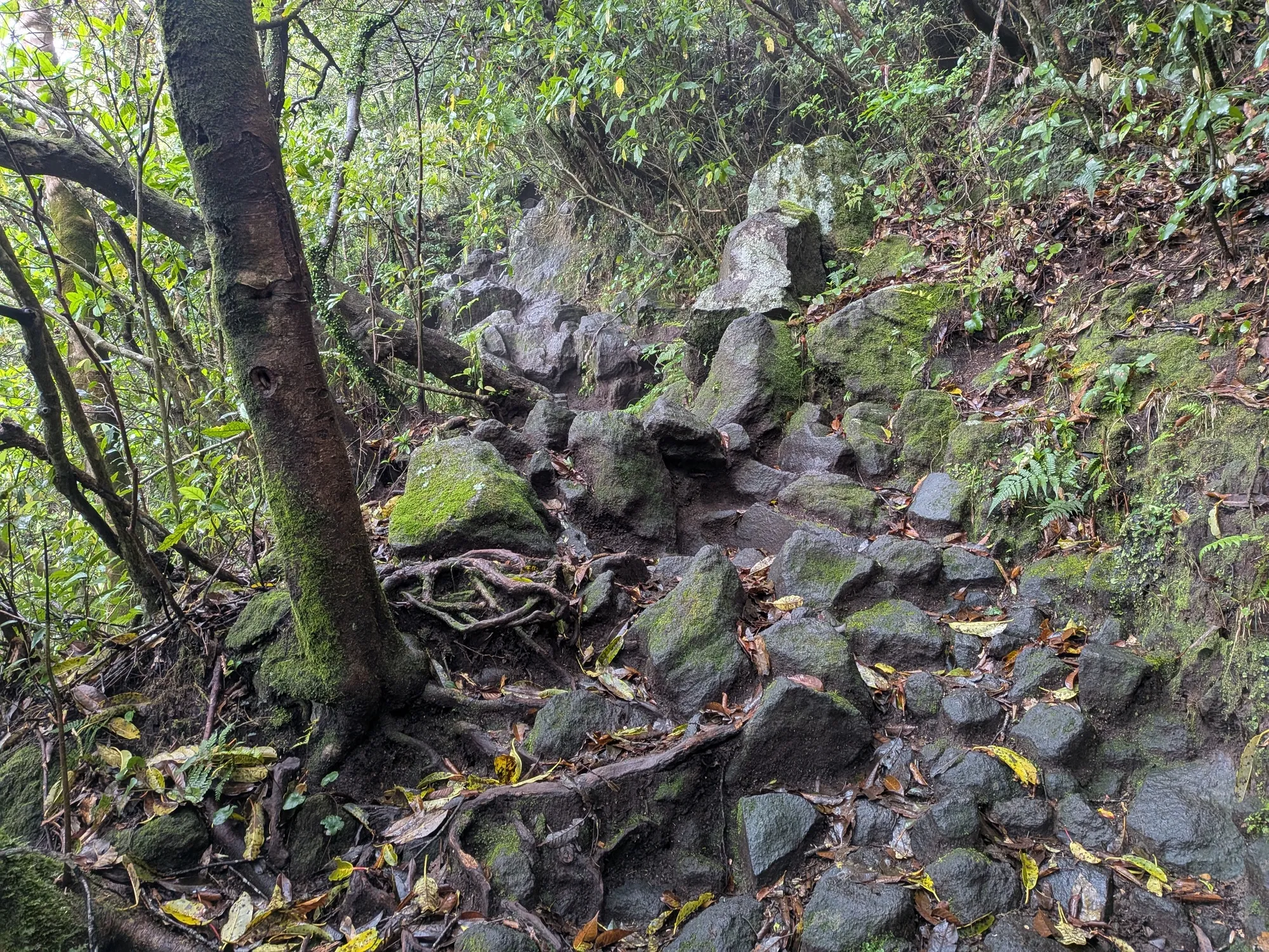たむら鍼灸整骨院のイメージ
