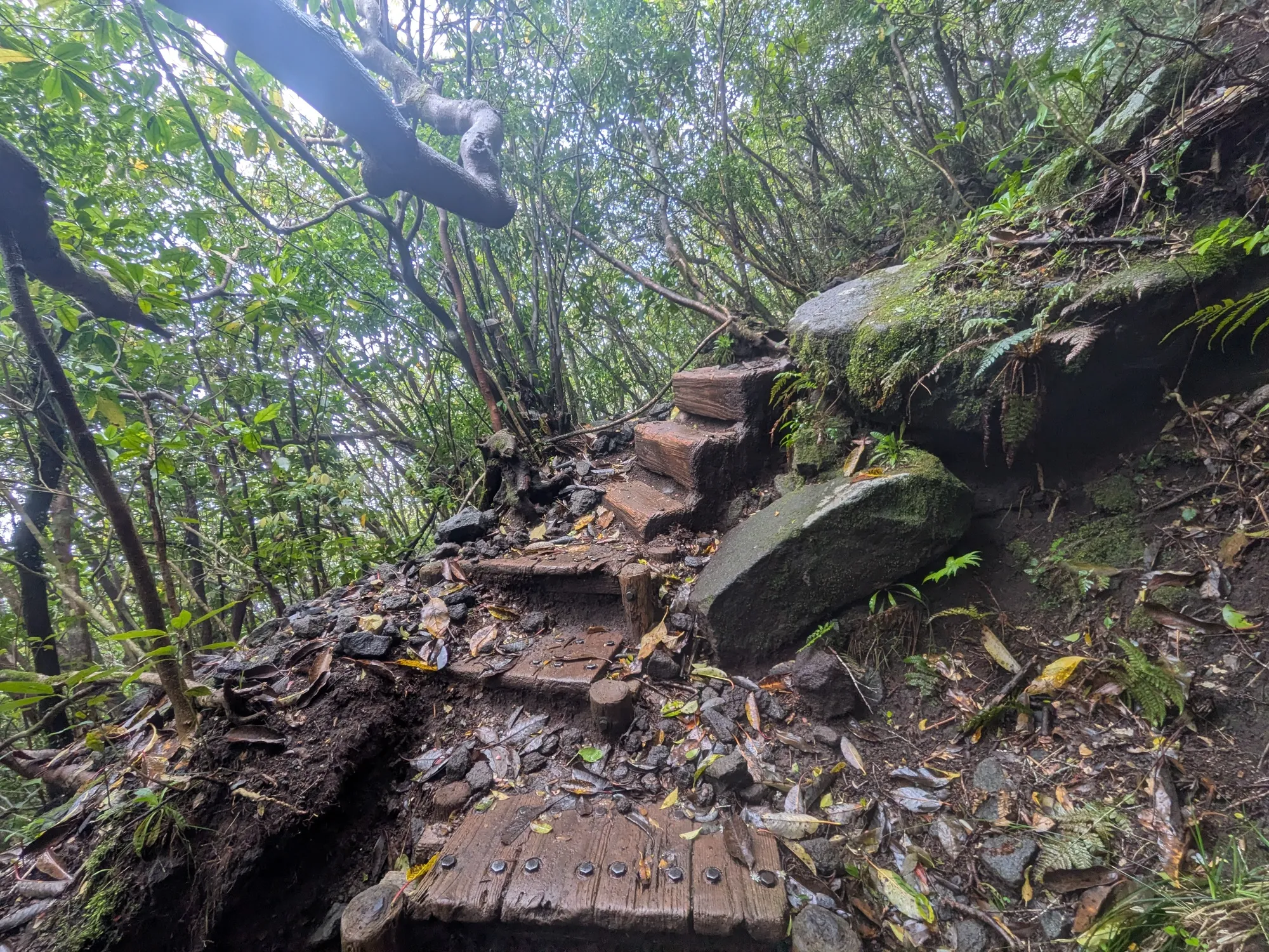 たむら鍼灸整骨院のイメージ